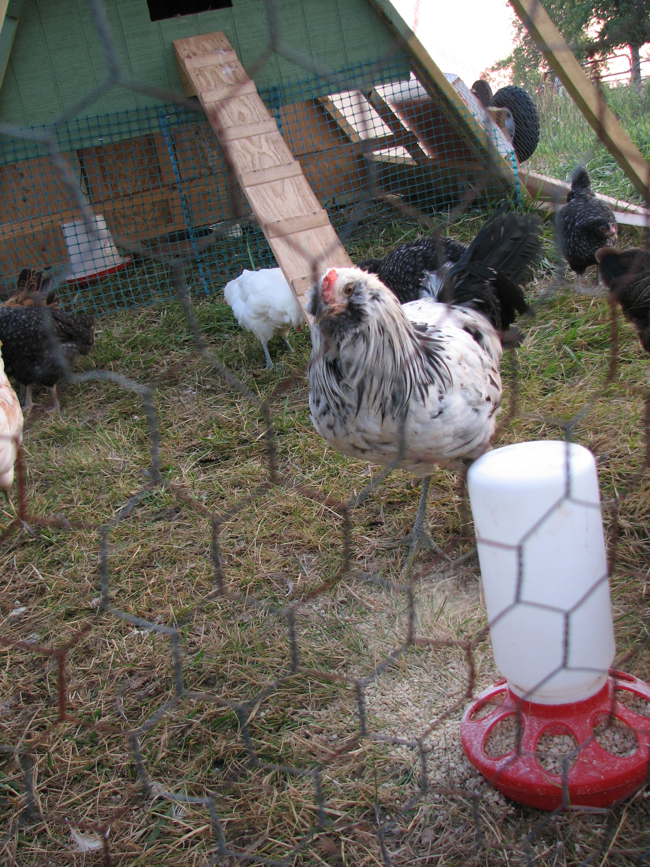 Whatchoo looking at?!?