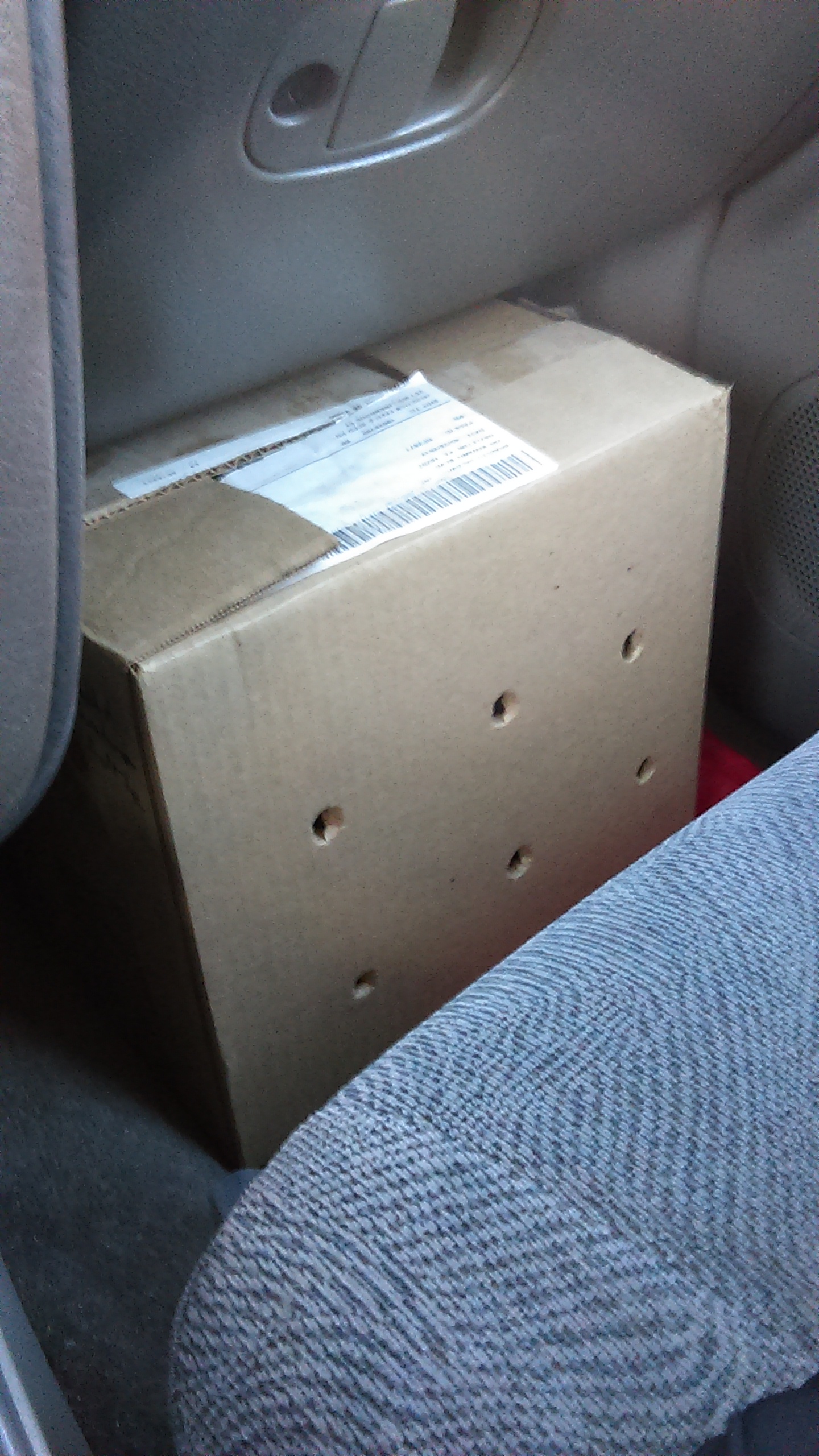 What's in the box?