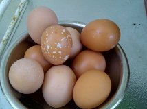 What's with the speckled egg?