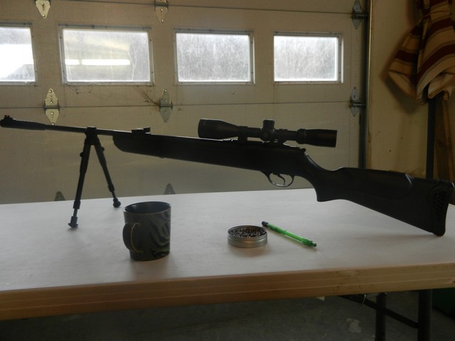 When electric fence is not enough.