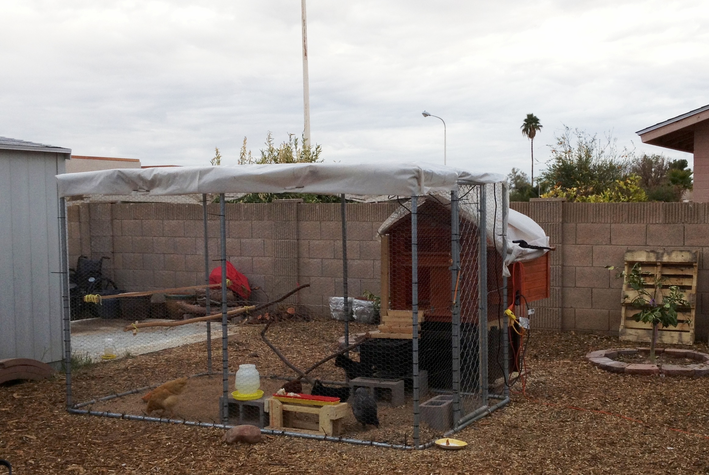 When finished with garden, will finish chicken coop and run.
Putting on a roof.