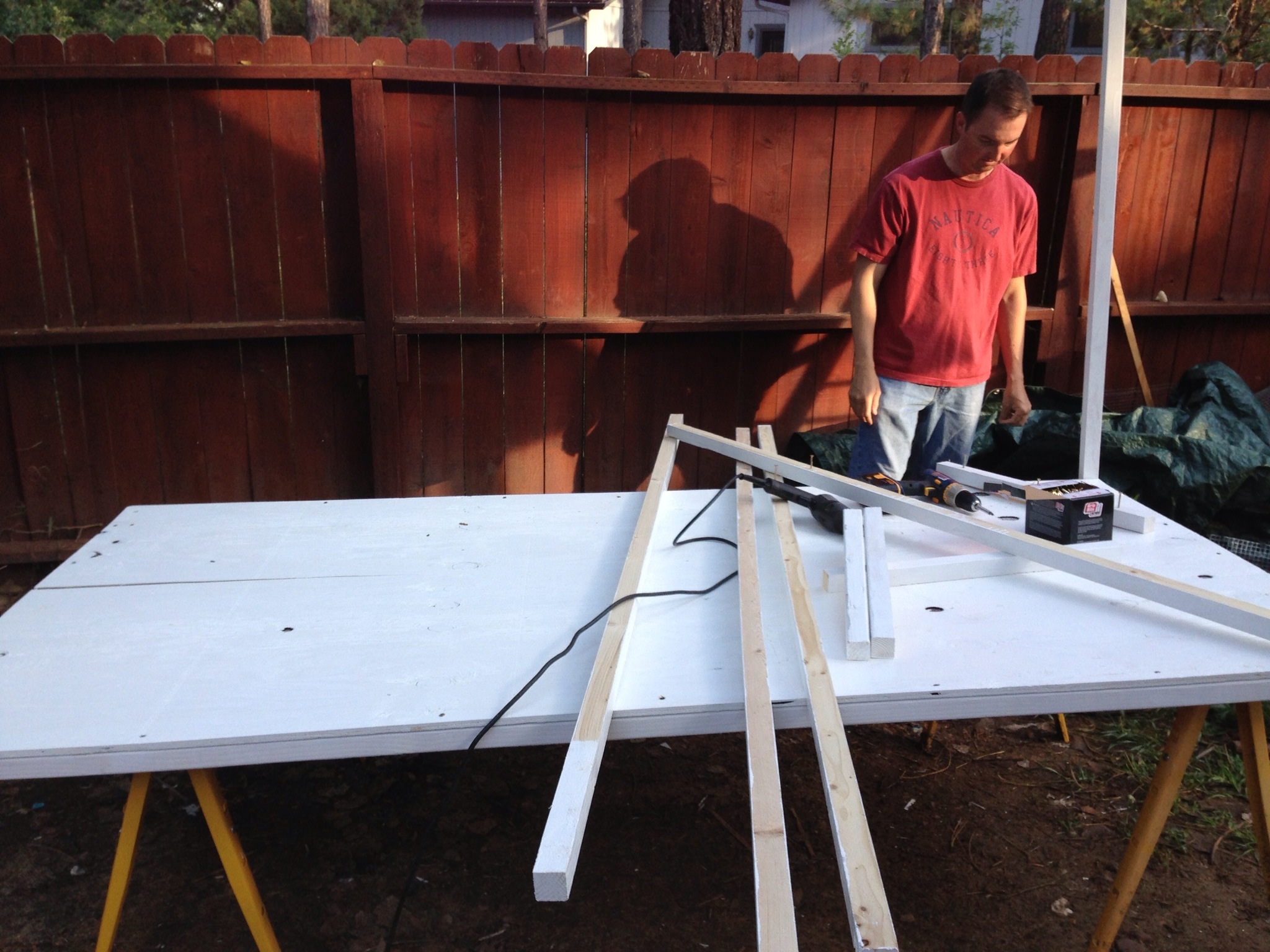 When I brought home our first silkies, this prompted my husband to build a small pen. It's a 4'x8' structure divided into 2--to house a vaiety of silkies each.