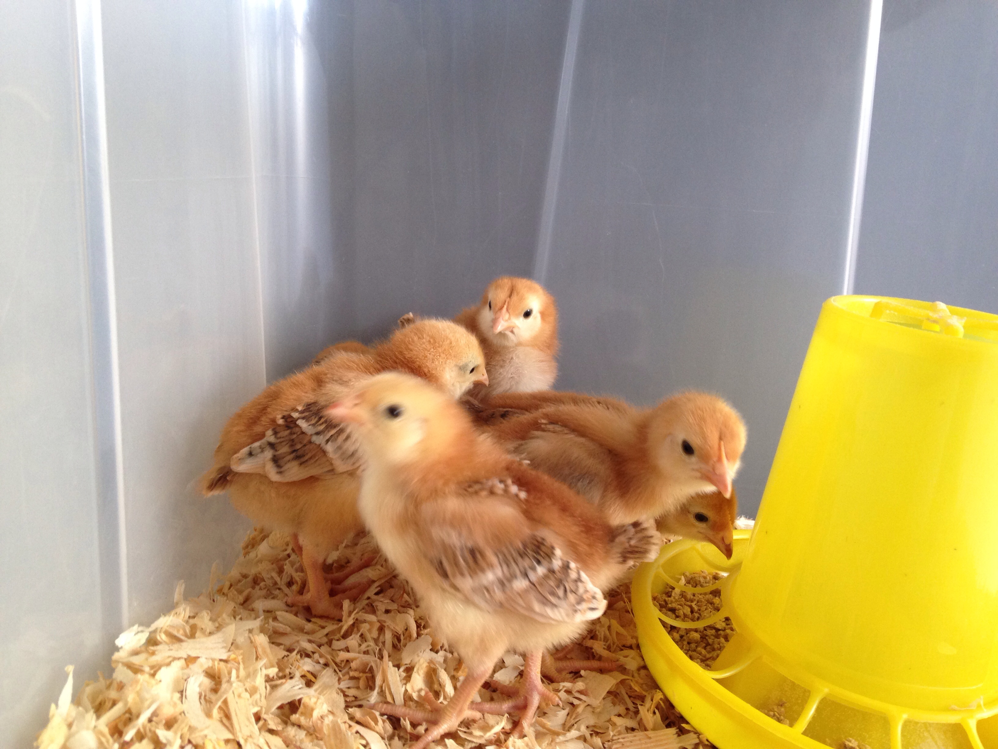 When they first came home.