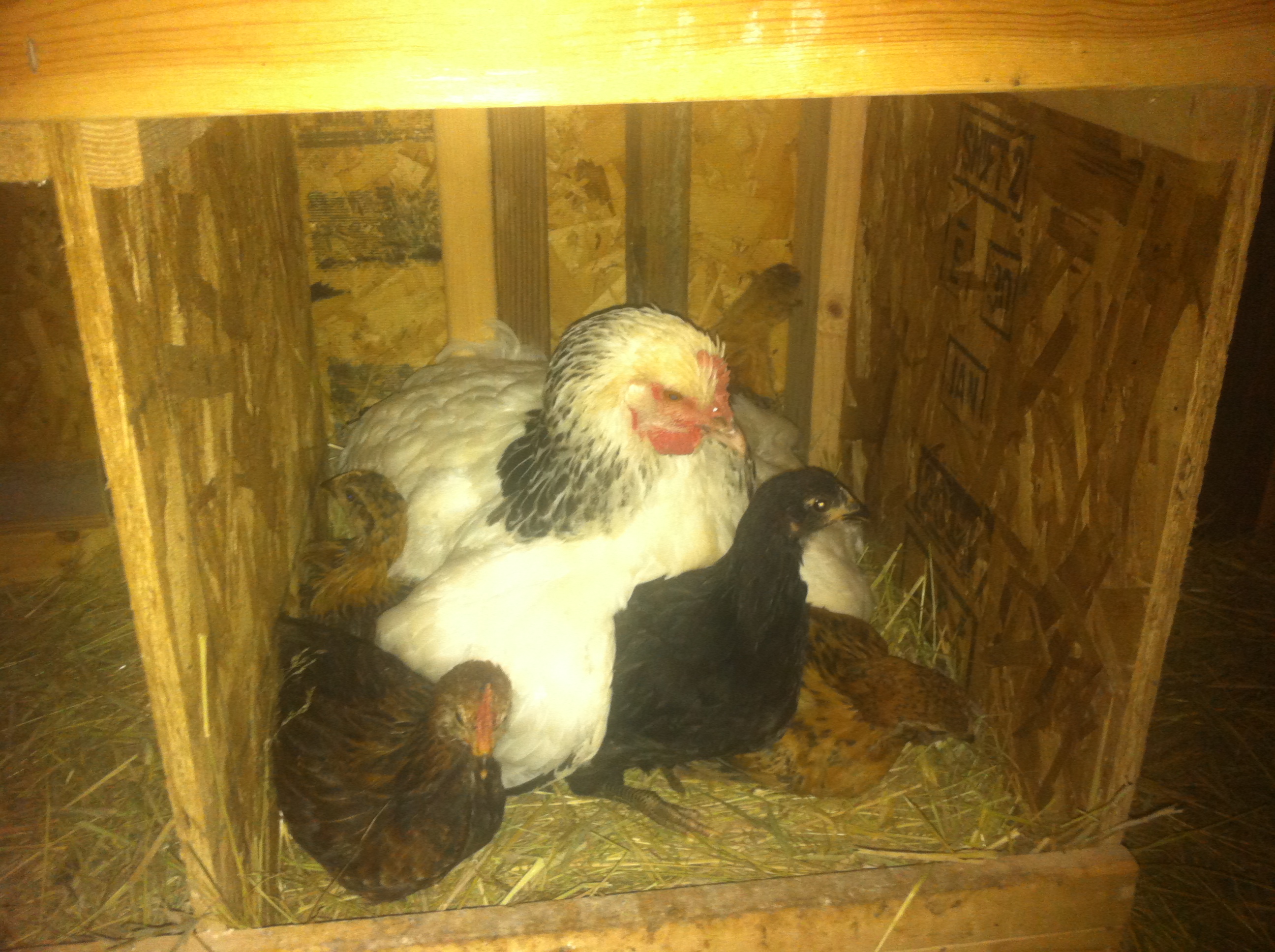 When they were a little smaller.