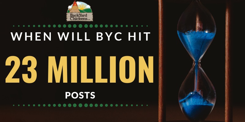 when will byc hit.jpg