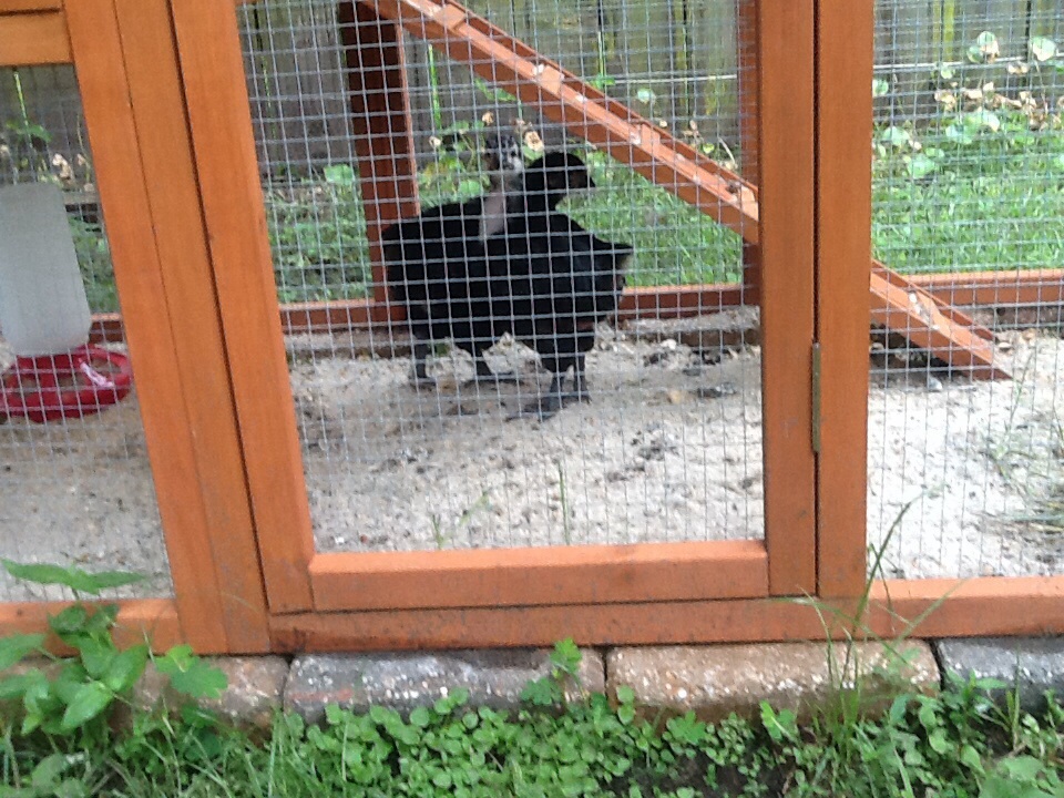 Where are we and how'd we get here!