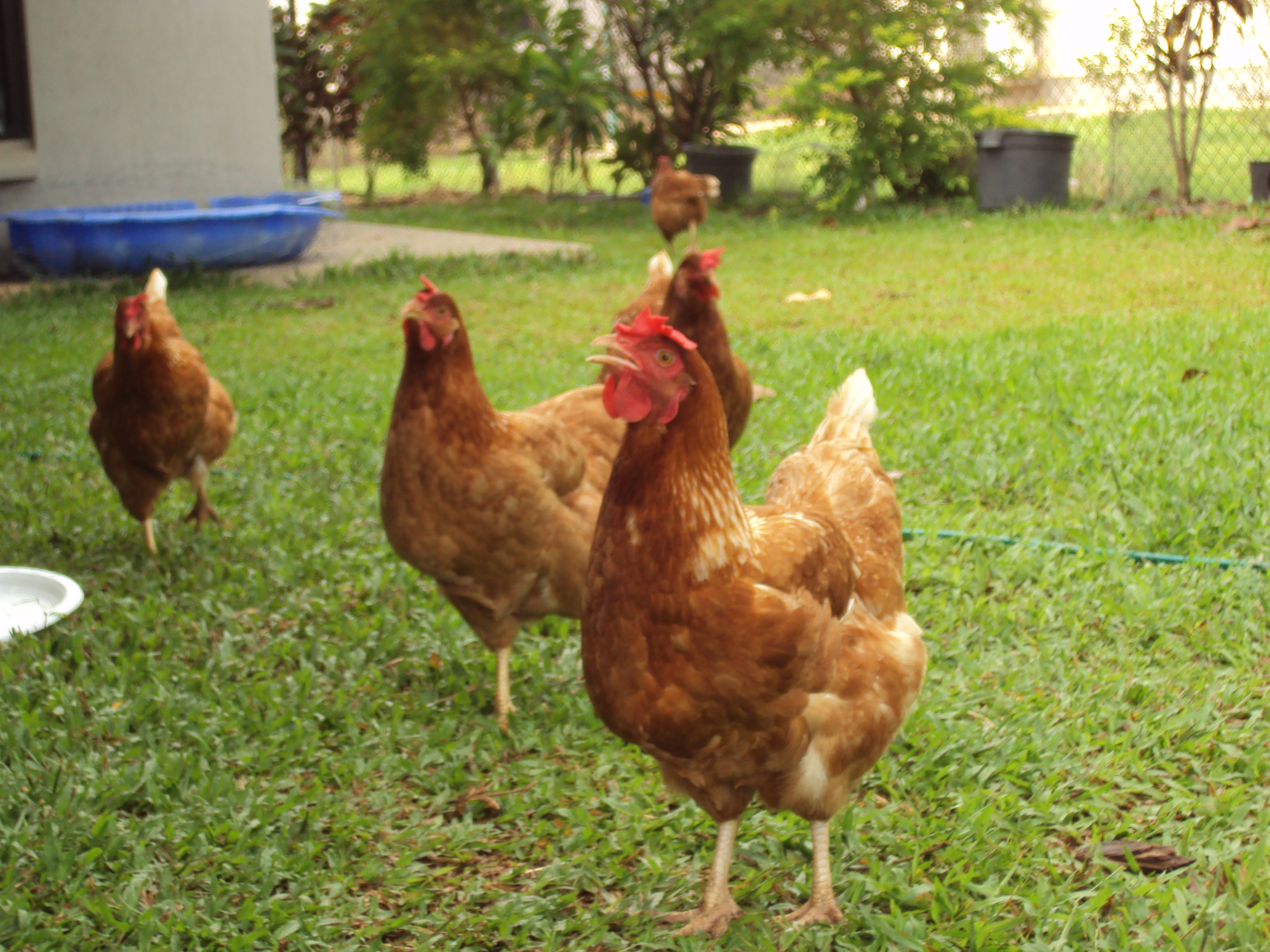 Where's our dinner?!