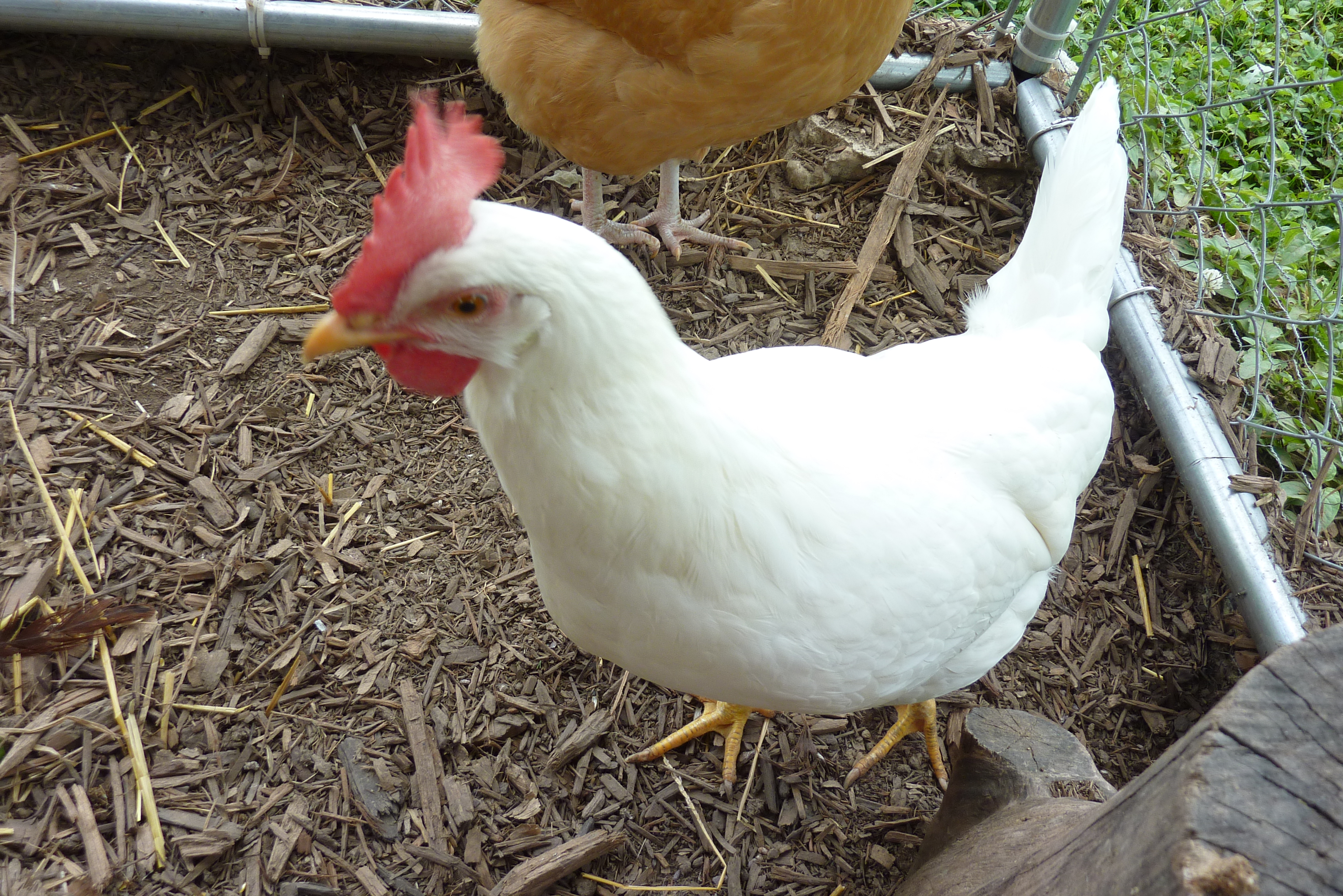 Where's the Treats!!