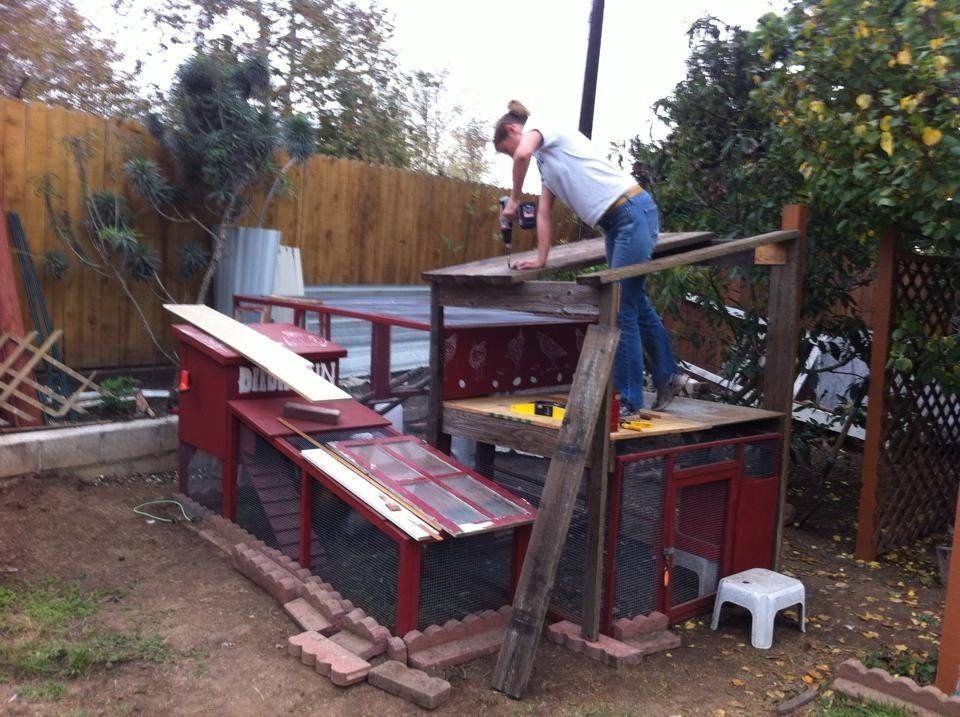 While I was building the new coop, Deedee and her three new girlfriends were still using the tiny rabbit hutch coop, but they did have the adjoining run space.