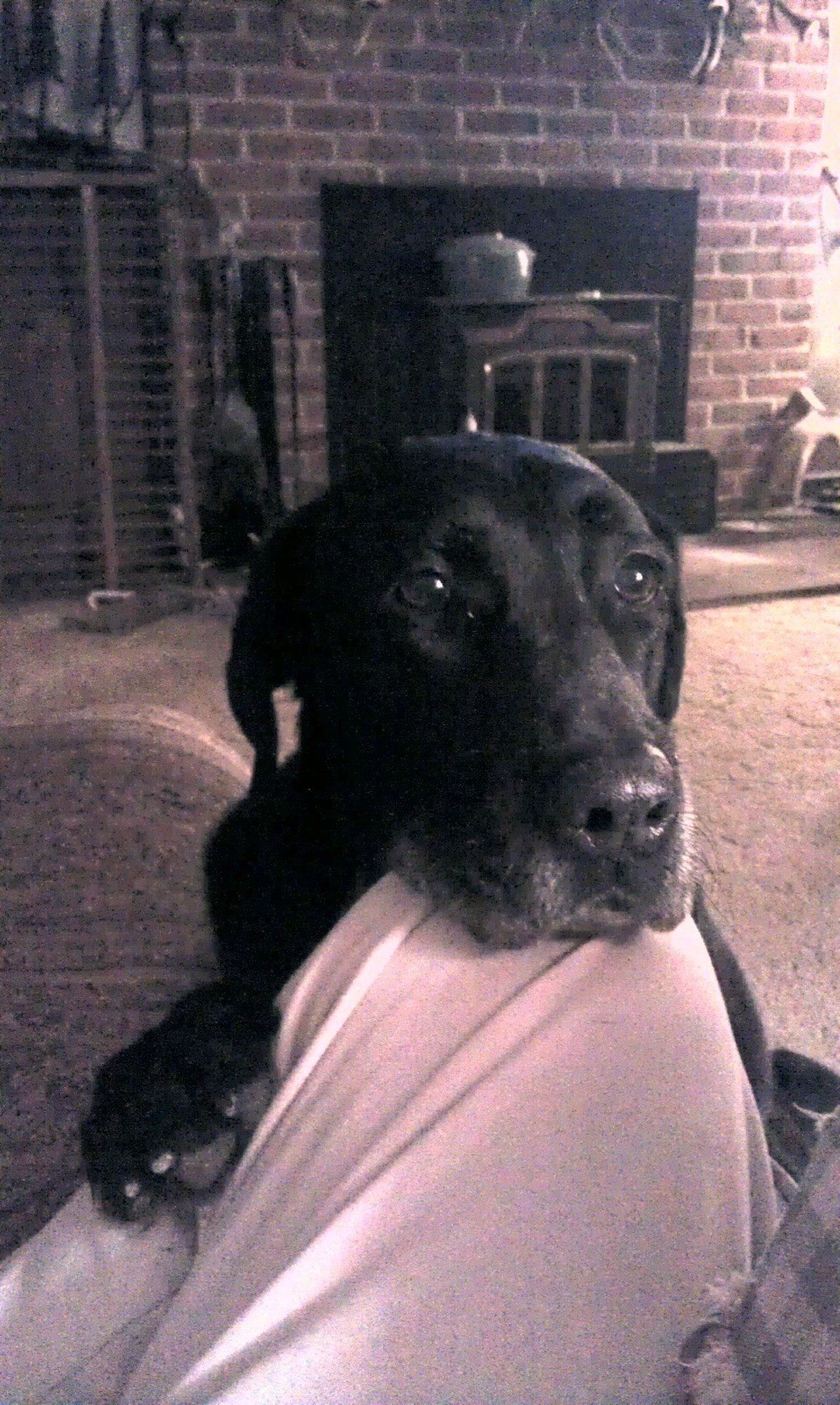Who can resist her:)
