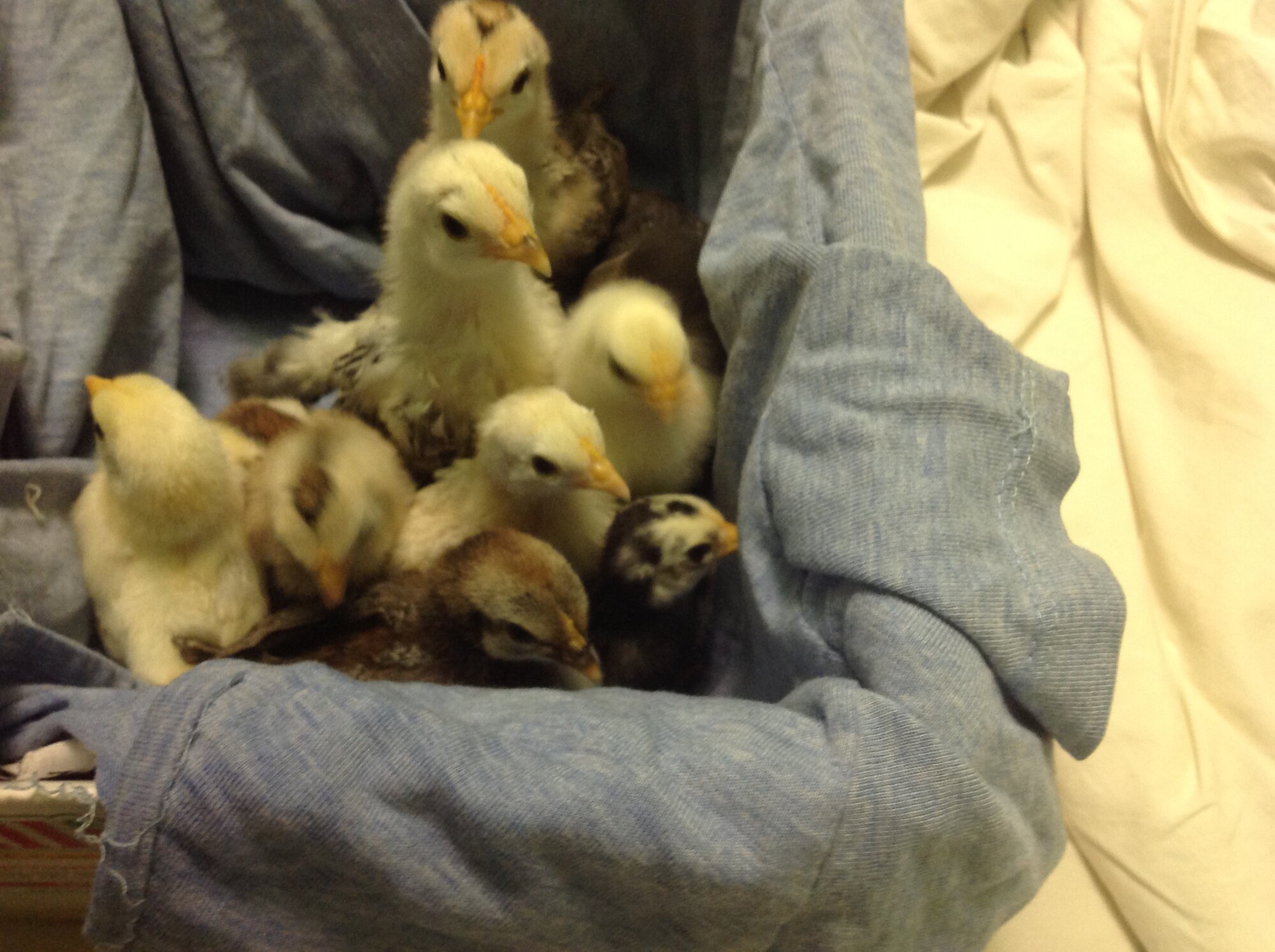 Who doesn’t like a box of chicken nuggets?