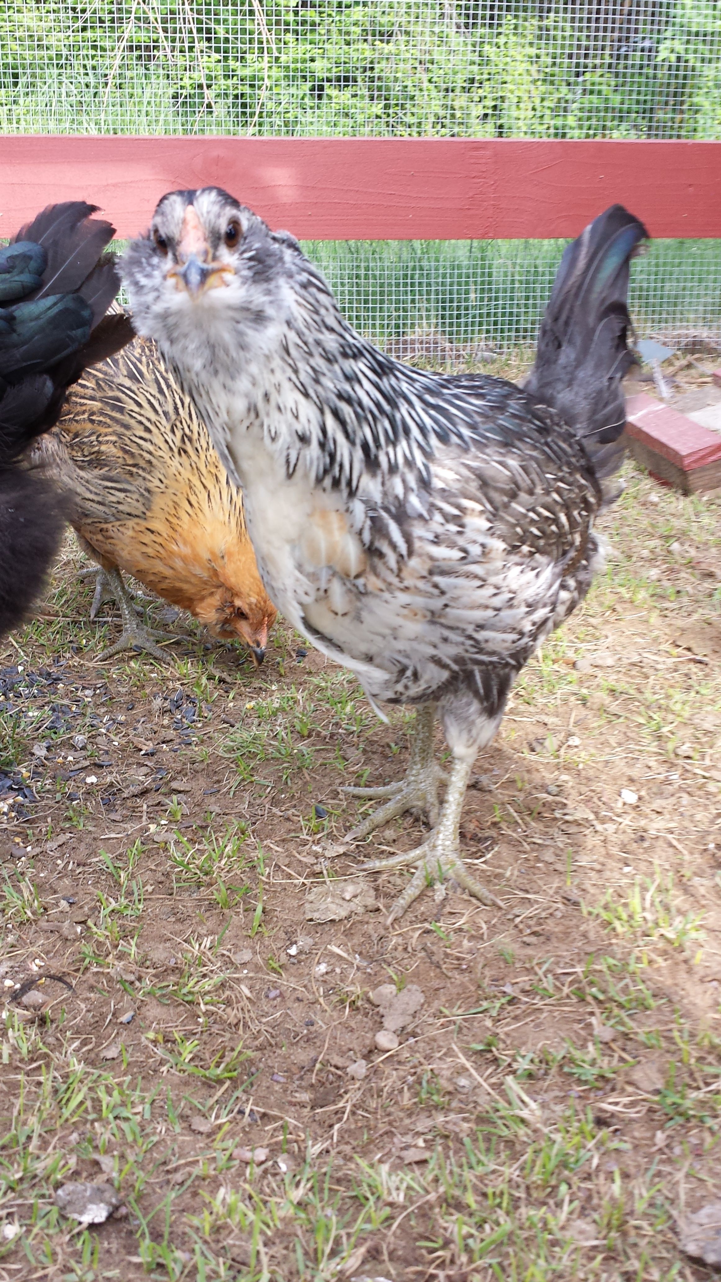 Who you calling pretty!? Lol.