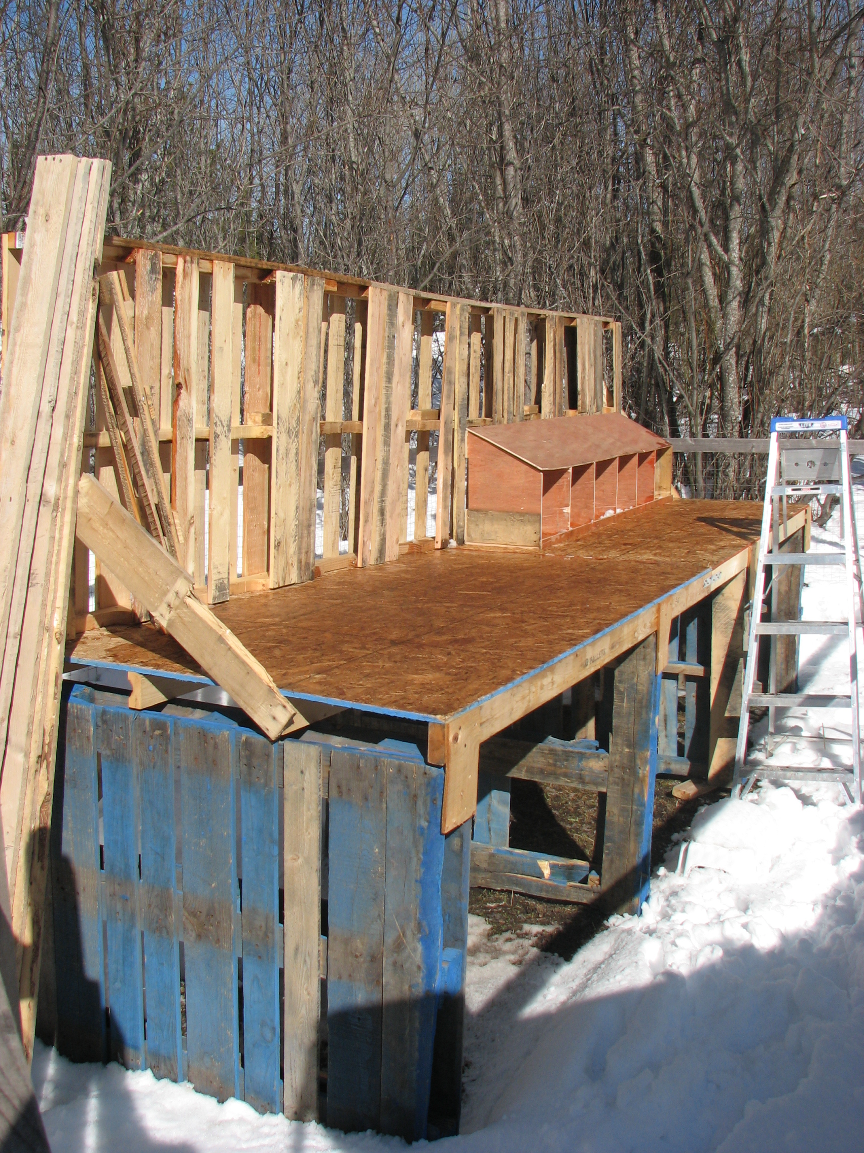 Whole coop made with recycled wood except half of deck (made to match 1st part).
Had to dig out the dog pen before starting as my girls are rescues coming as soon as this is ready!
