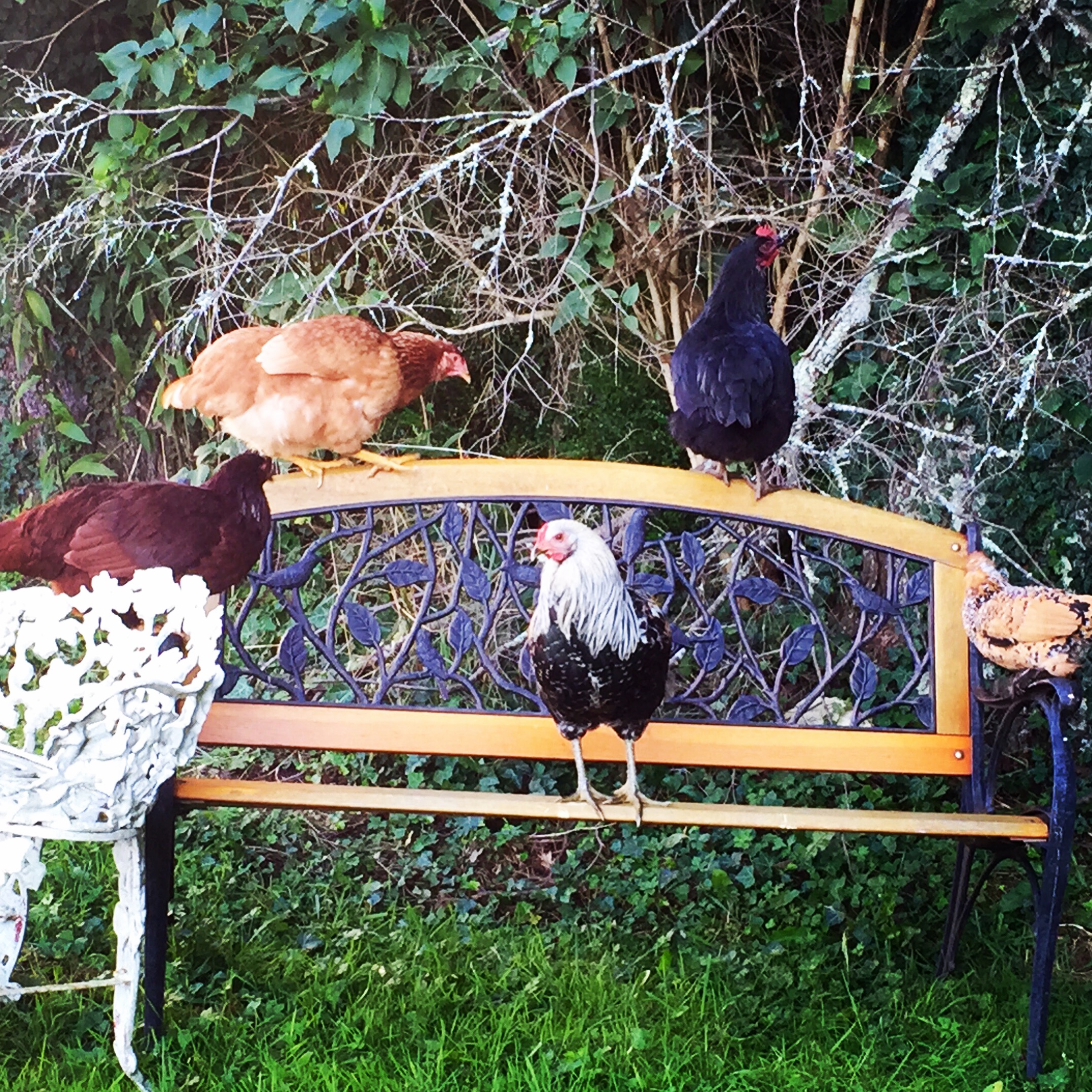 Whose bench is this?