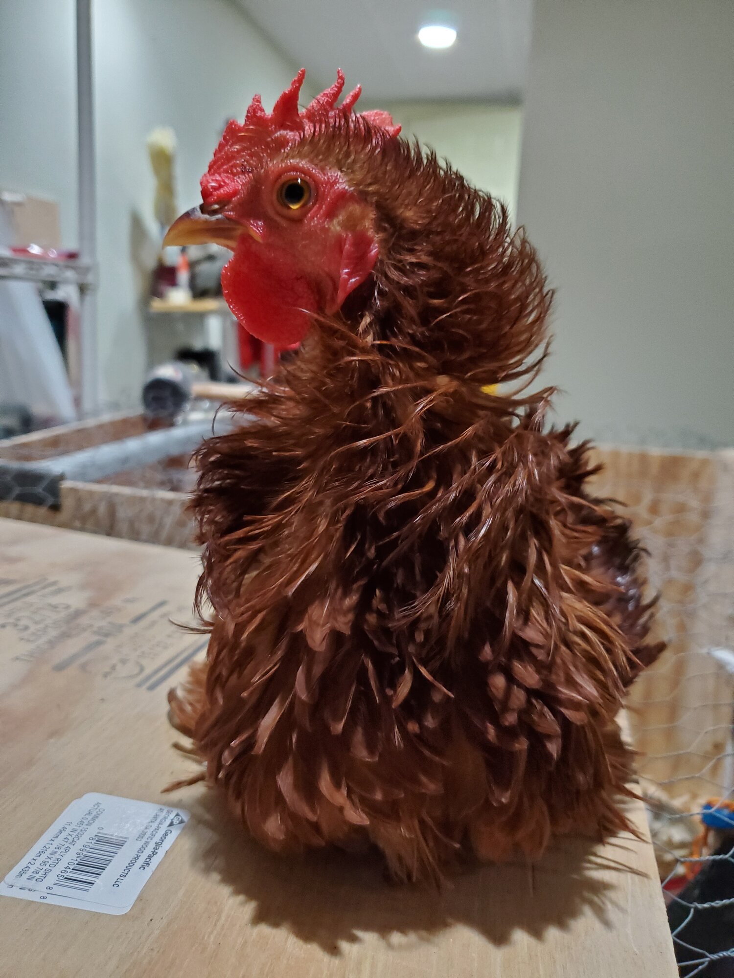 Why are you looking at me like that?