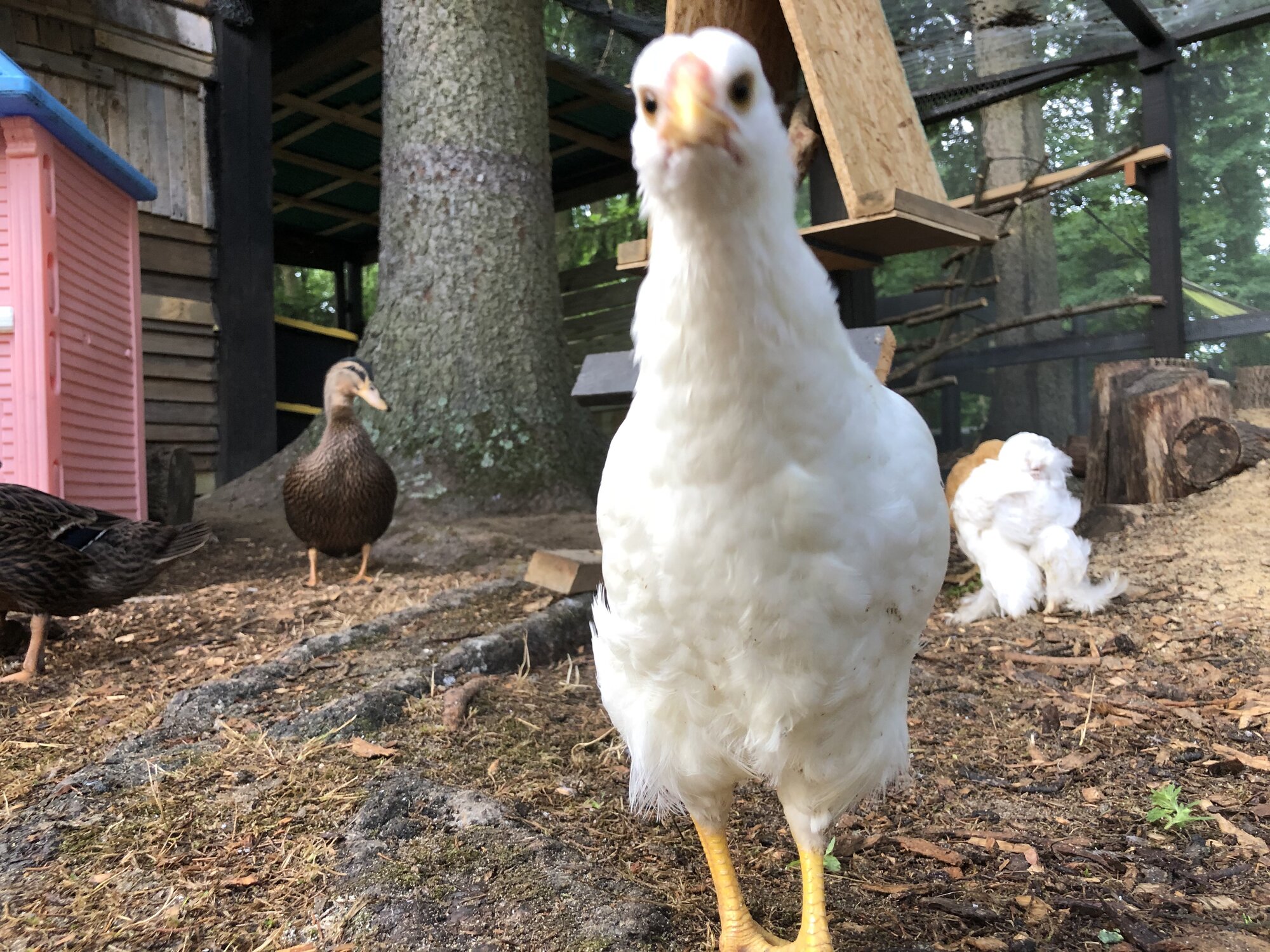 Why hello there!