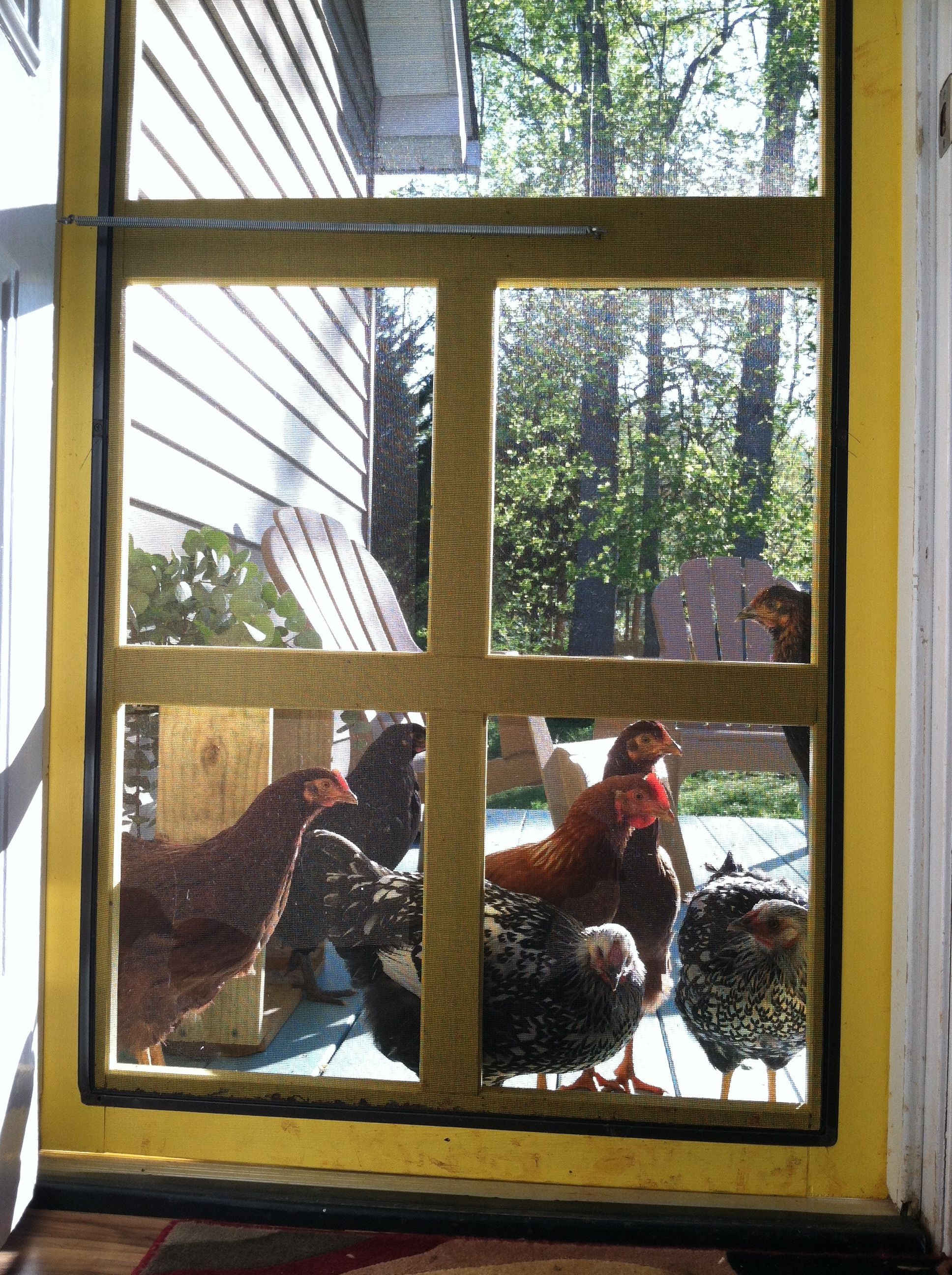 Will you come out to play?