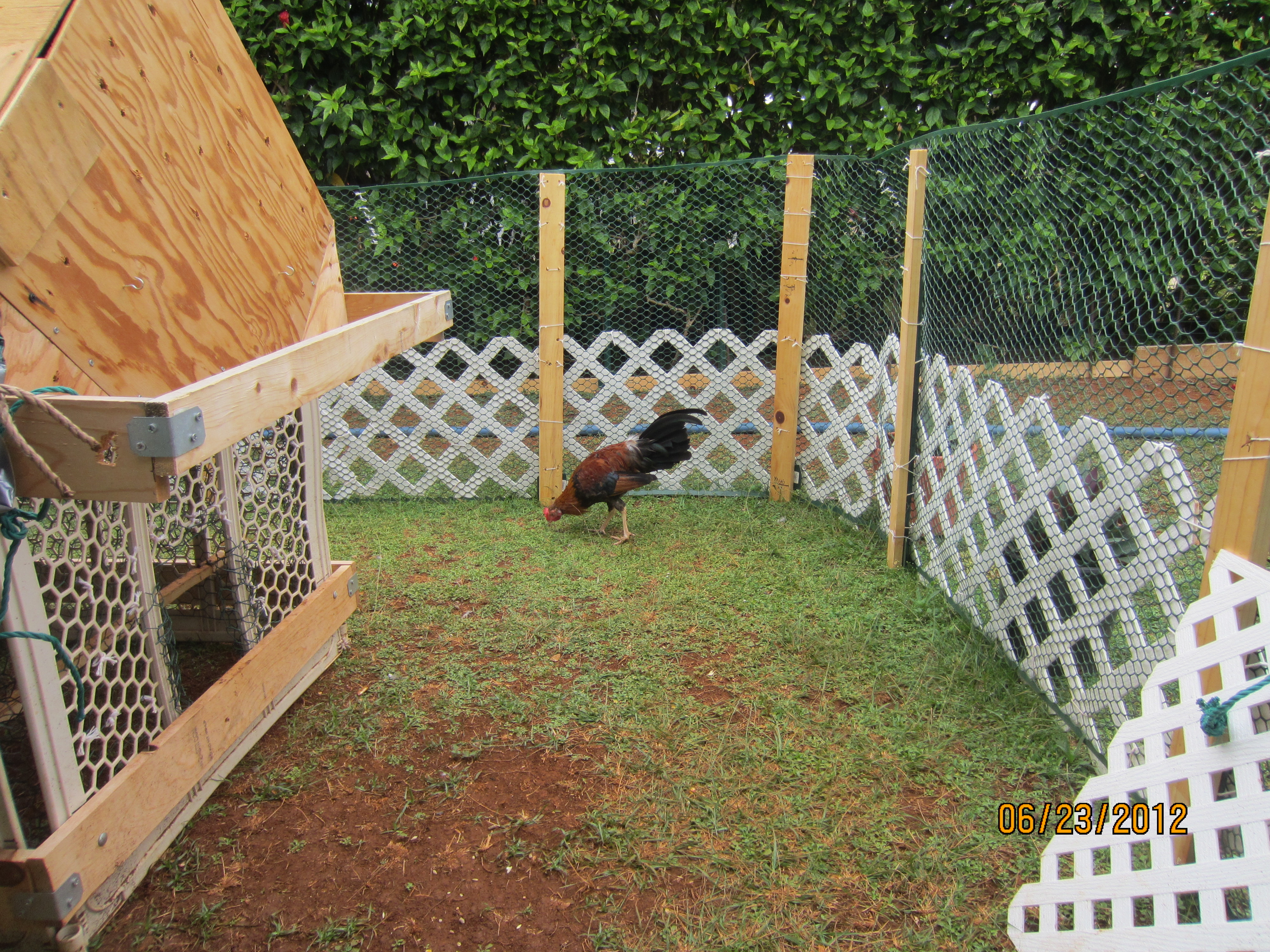 Willis in his constantly changing area. lol.