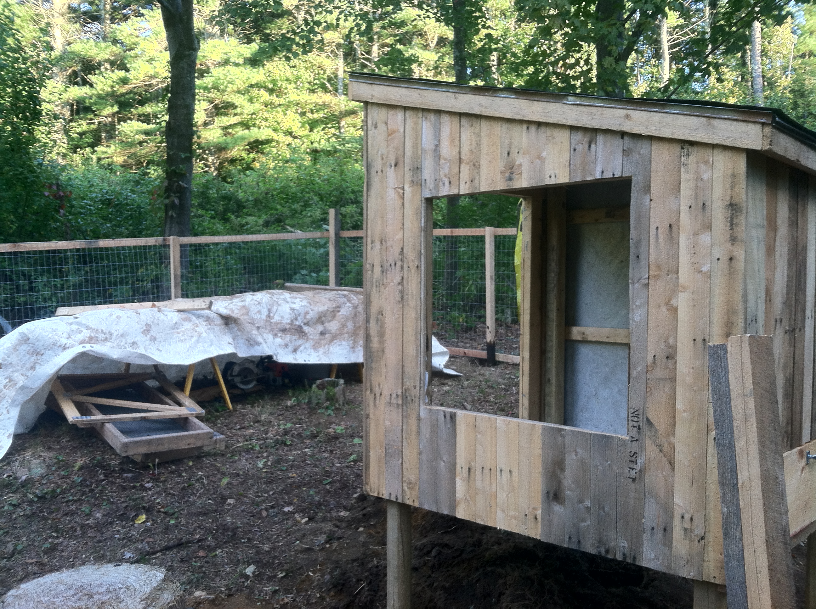 window framed out.  The window I added was an antique one I had planned on using for a greenhouse, perfect size for this application.  It opens to allow air movement in the summer and is lined with hardware cloth to help keep the coop secure.
