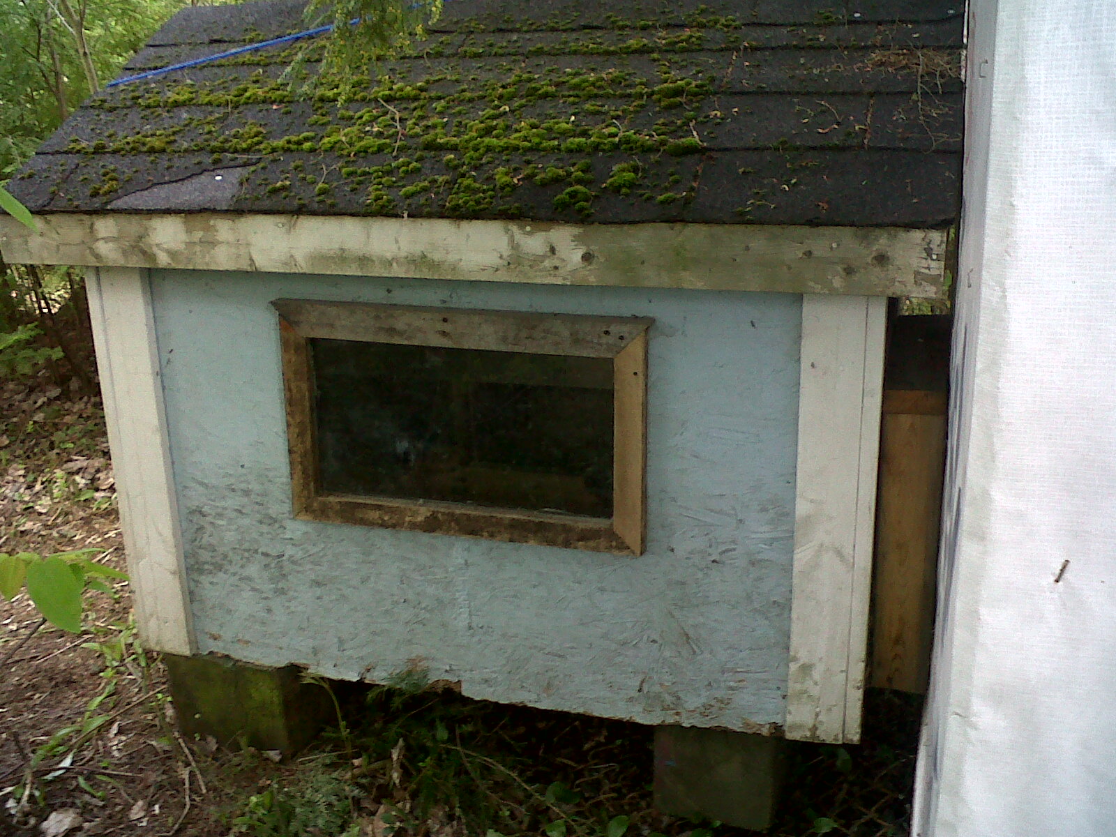 window to the nesting box so we can look in and see if there are any eggs