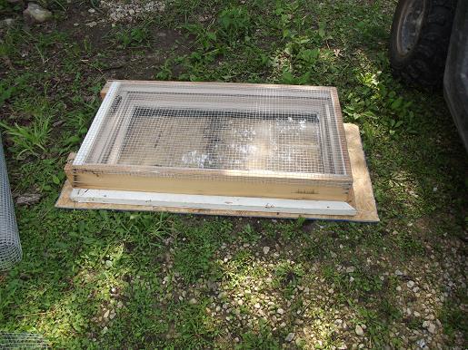 Window with hardware cloth.