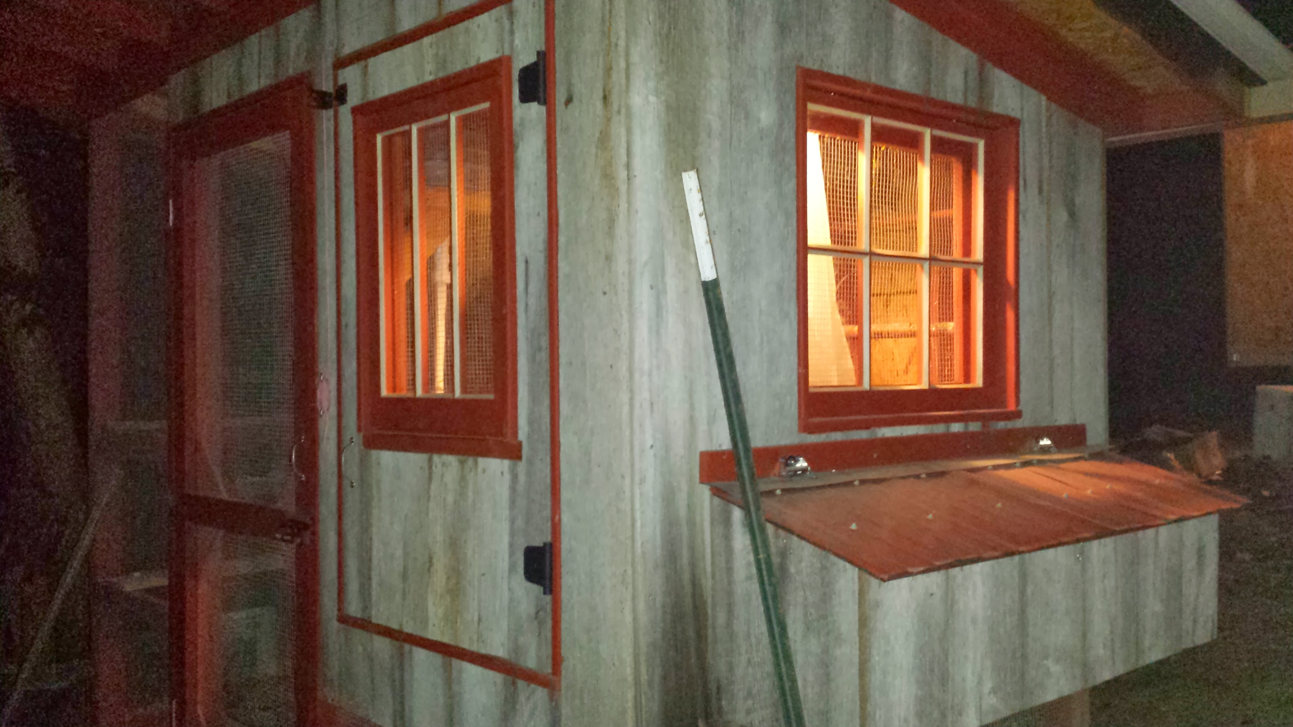 Windows on the coop.