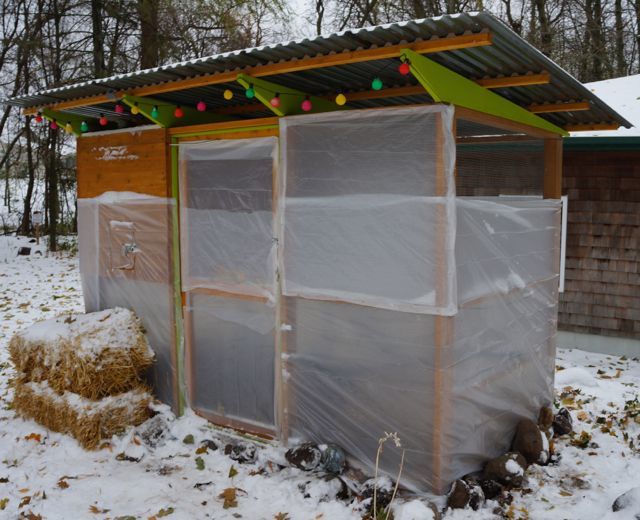 Winterizing for first winter - ugly plastic wrap.  The North side has plastic to the top.  I left the other sides open for some air and light to pass through.  I used vapor barrier.