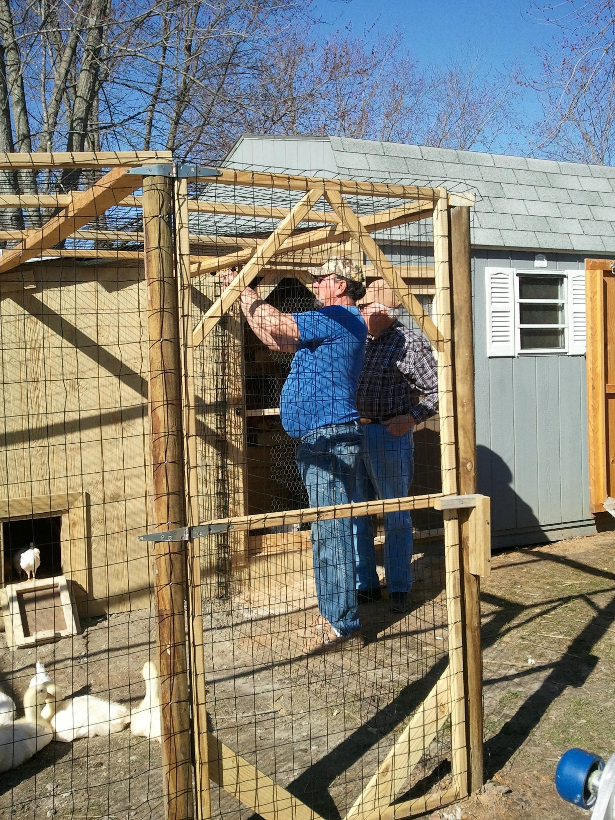 Wire it up guys almost done ! We even wired the top to keep predators out.