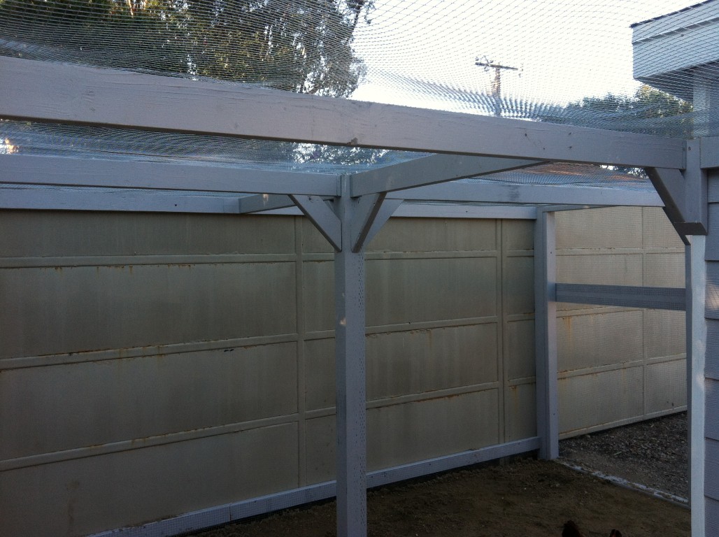 Wire Roof