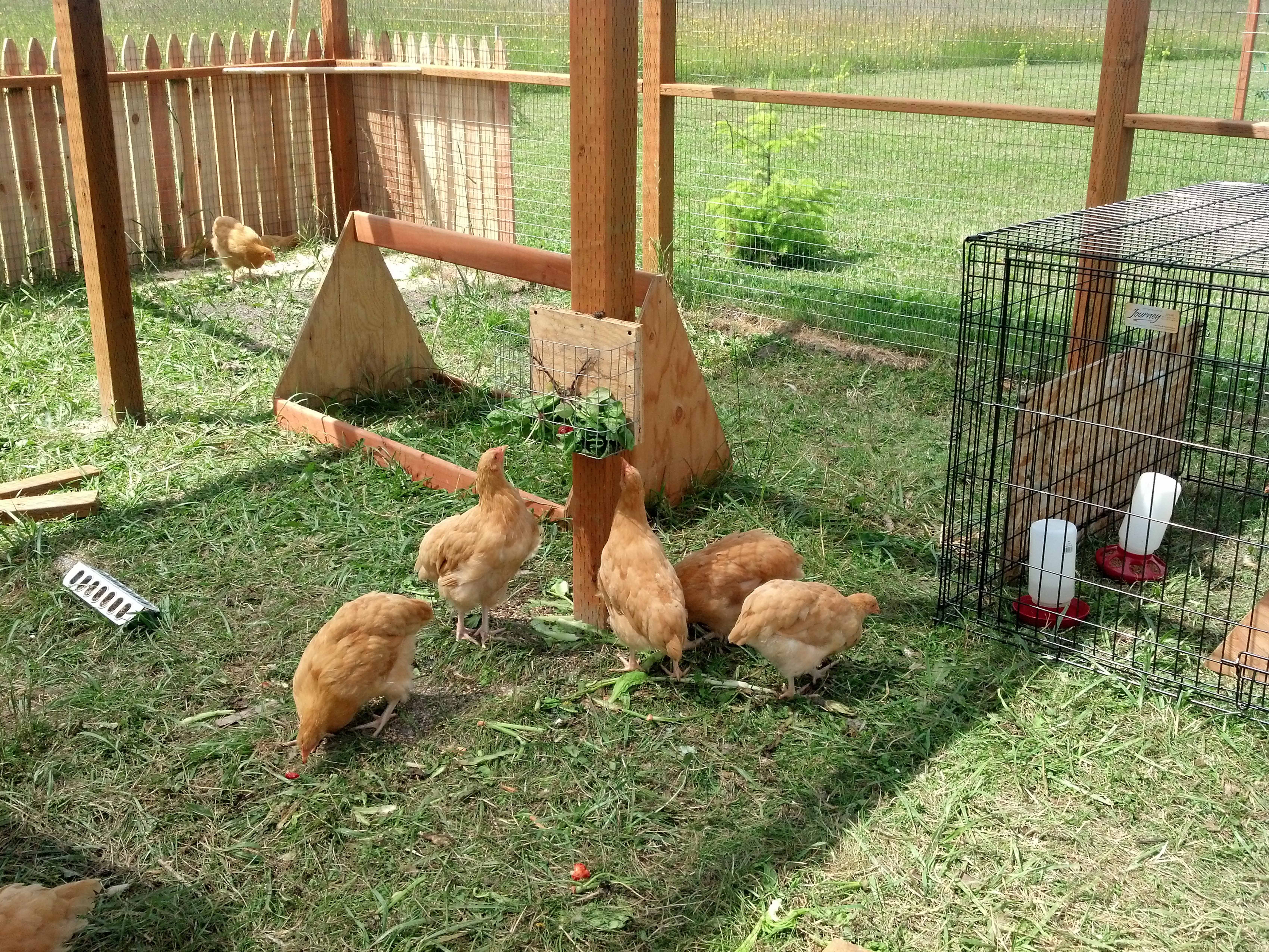 Wish I had a wide angle lens.