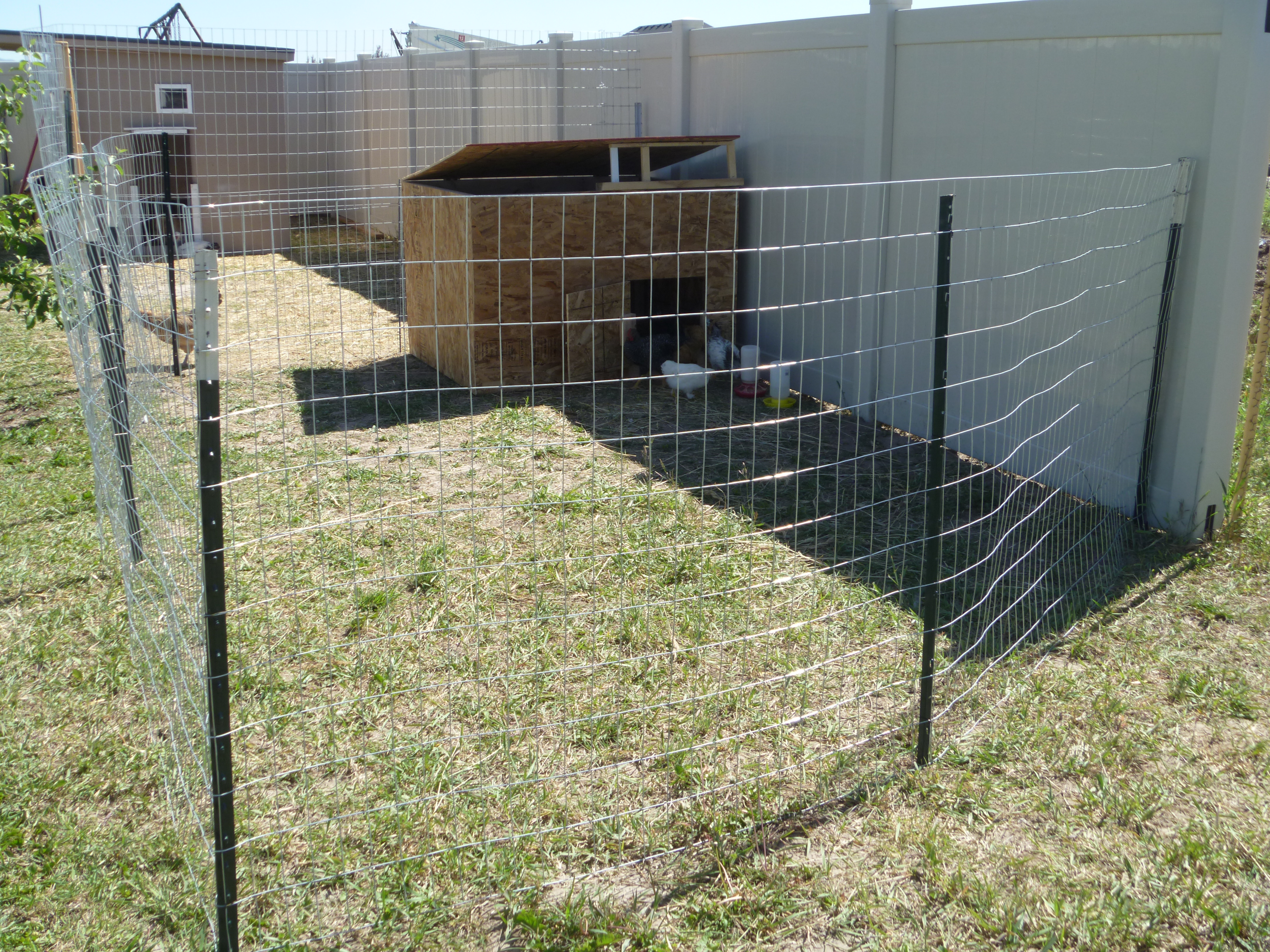 With a pic of the run and the bigger hen house and run behind...