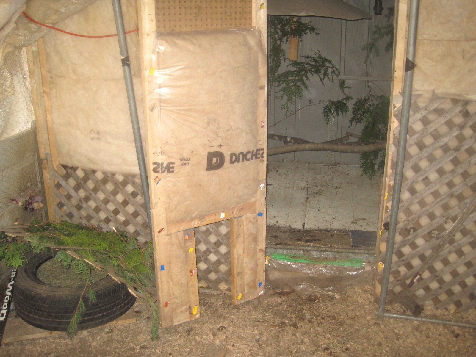 with door open. shed has been reinforced and insulated for winter. has a heat light if needed