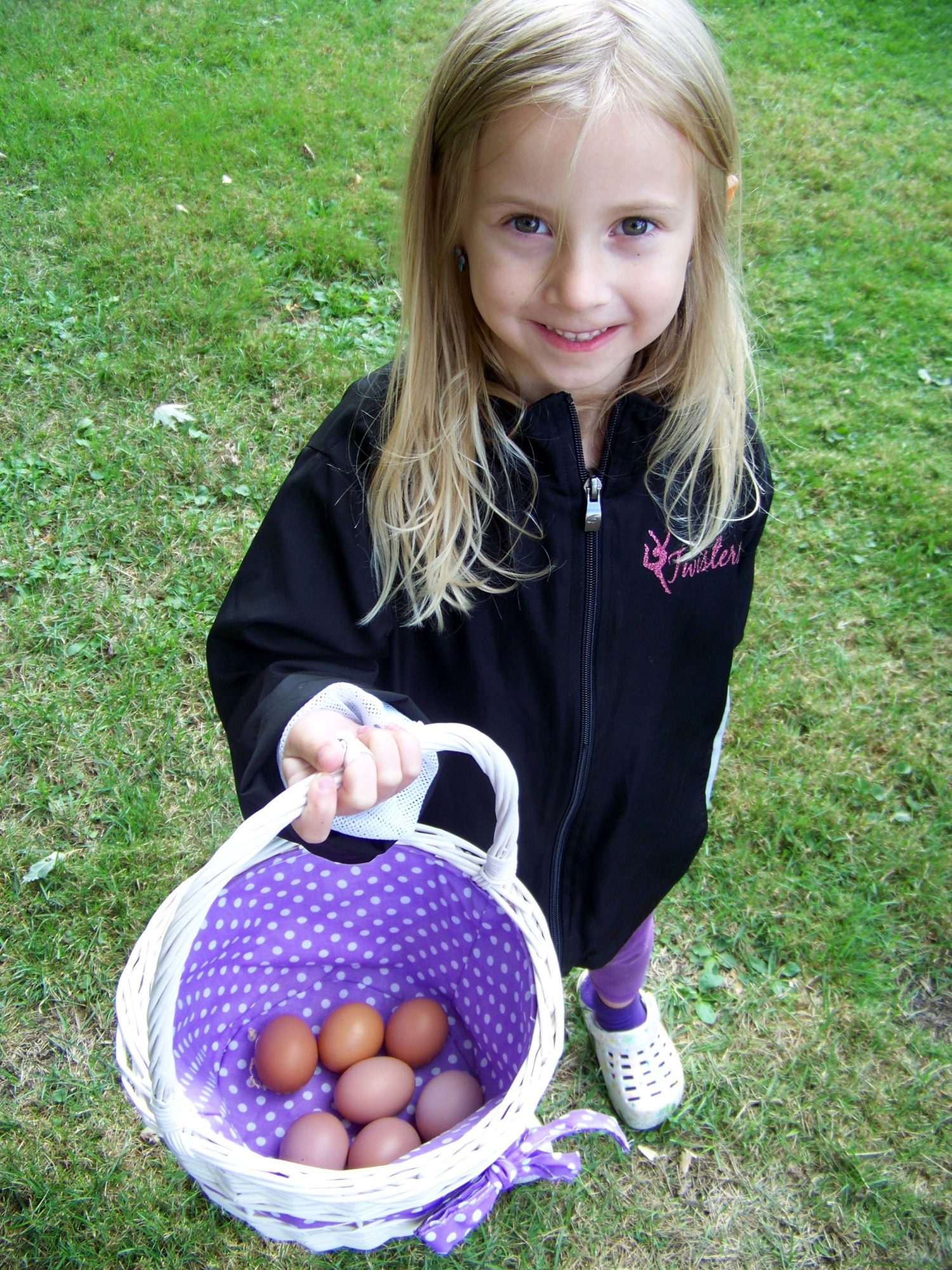 Within four hours of their arrival, we had eight eggs from eight hens.