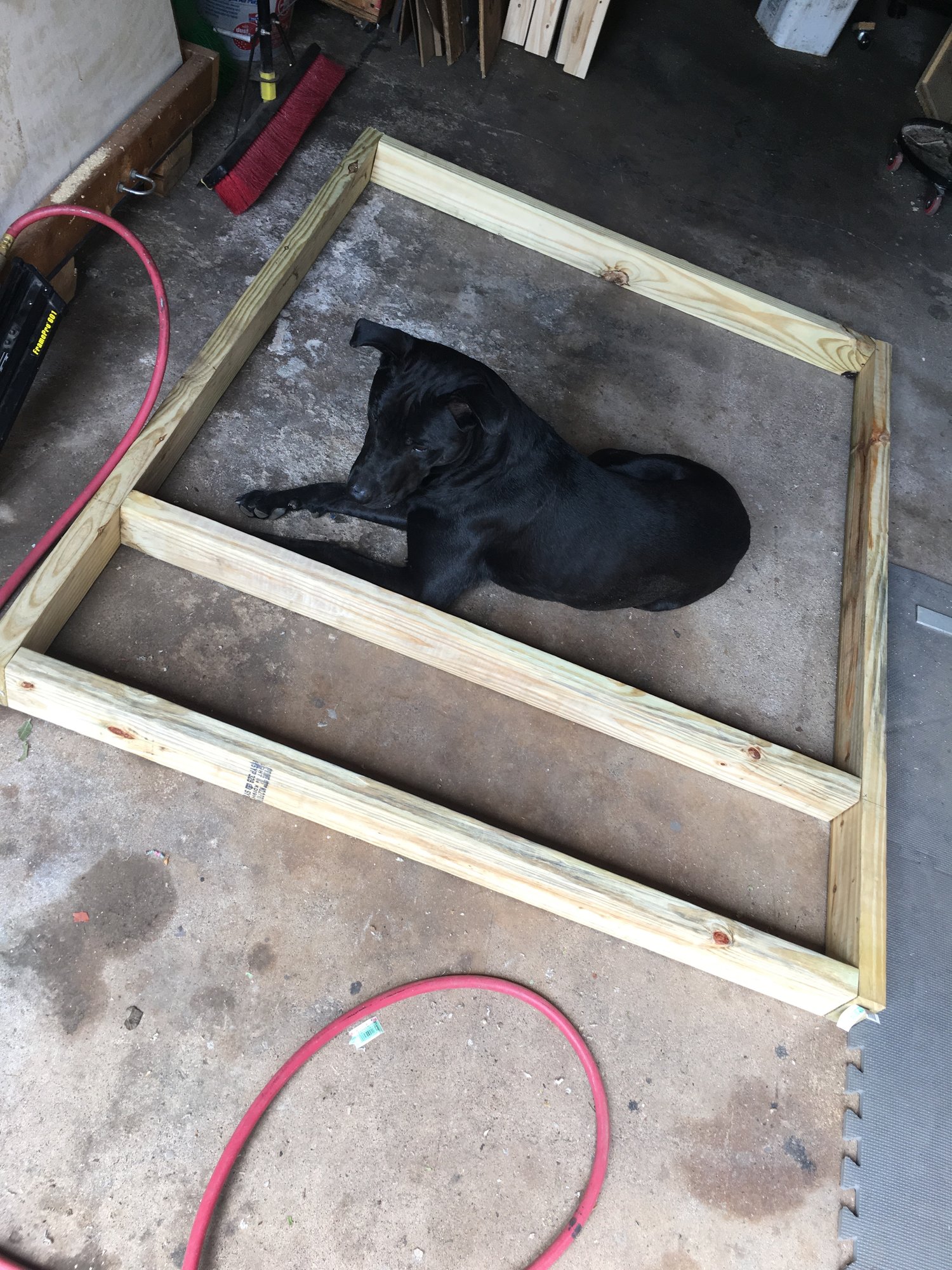Work on the coop begins...
