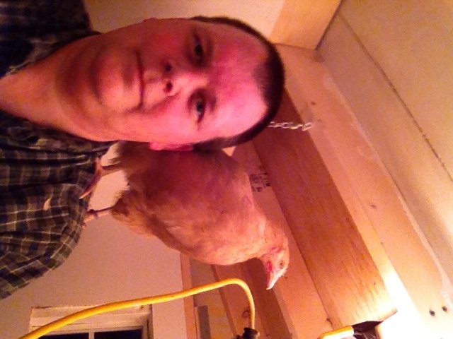 Working in the coop