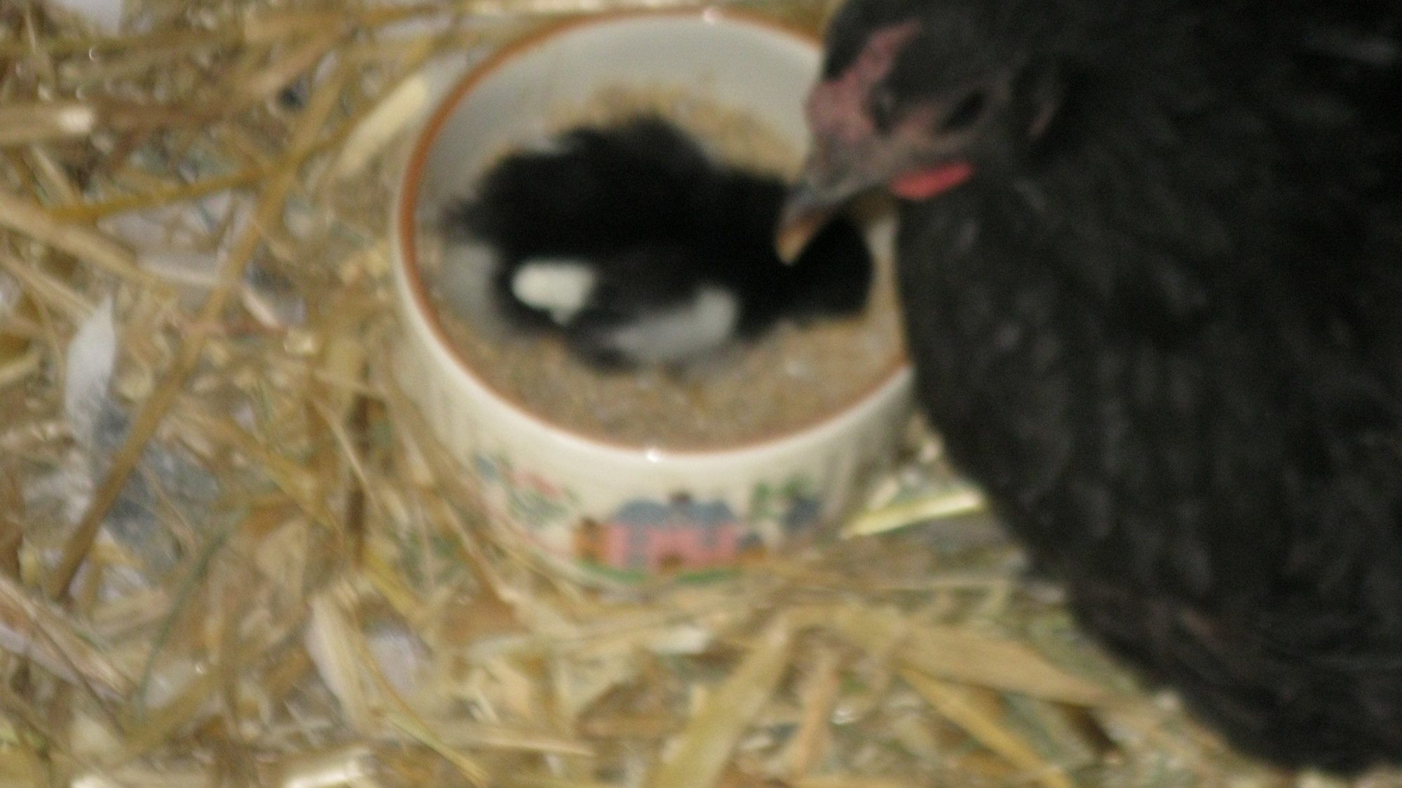 Wow, I really like this stuff.