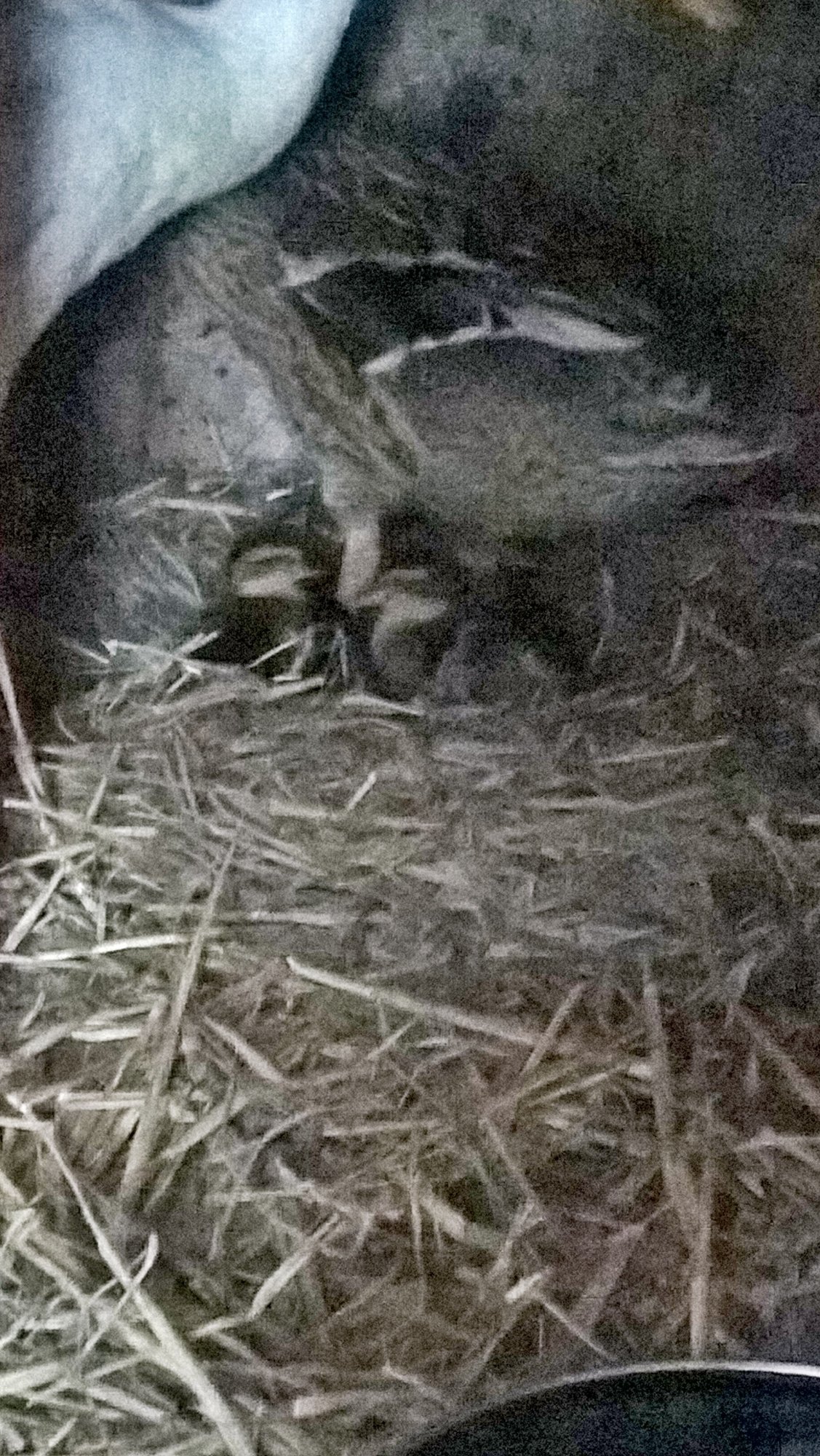 WP_20170701_07_55_59_Pro