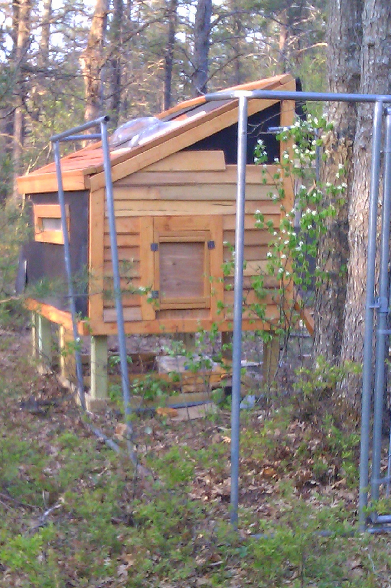 Wrapped in tar paper, sky lights in, siding going up and run being put in.