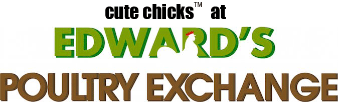 www.edwardspoultryexchange.com