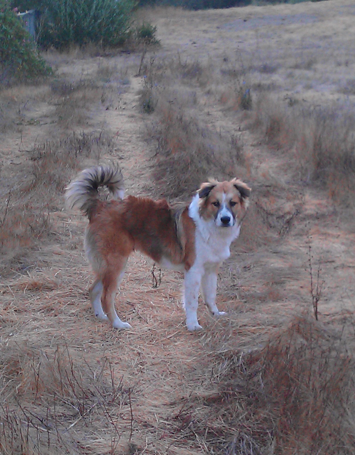 Xavi one year