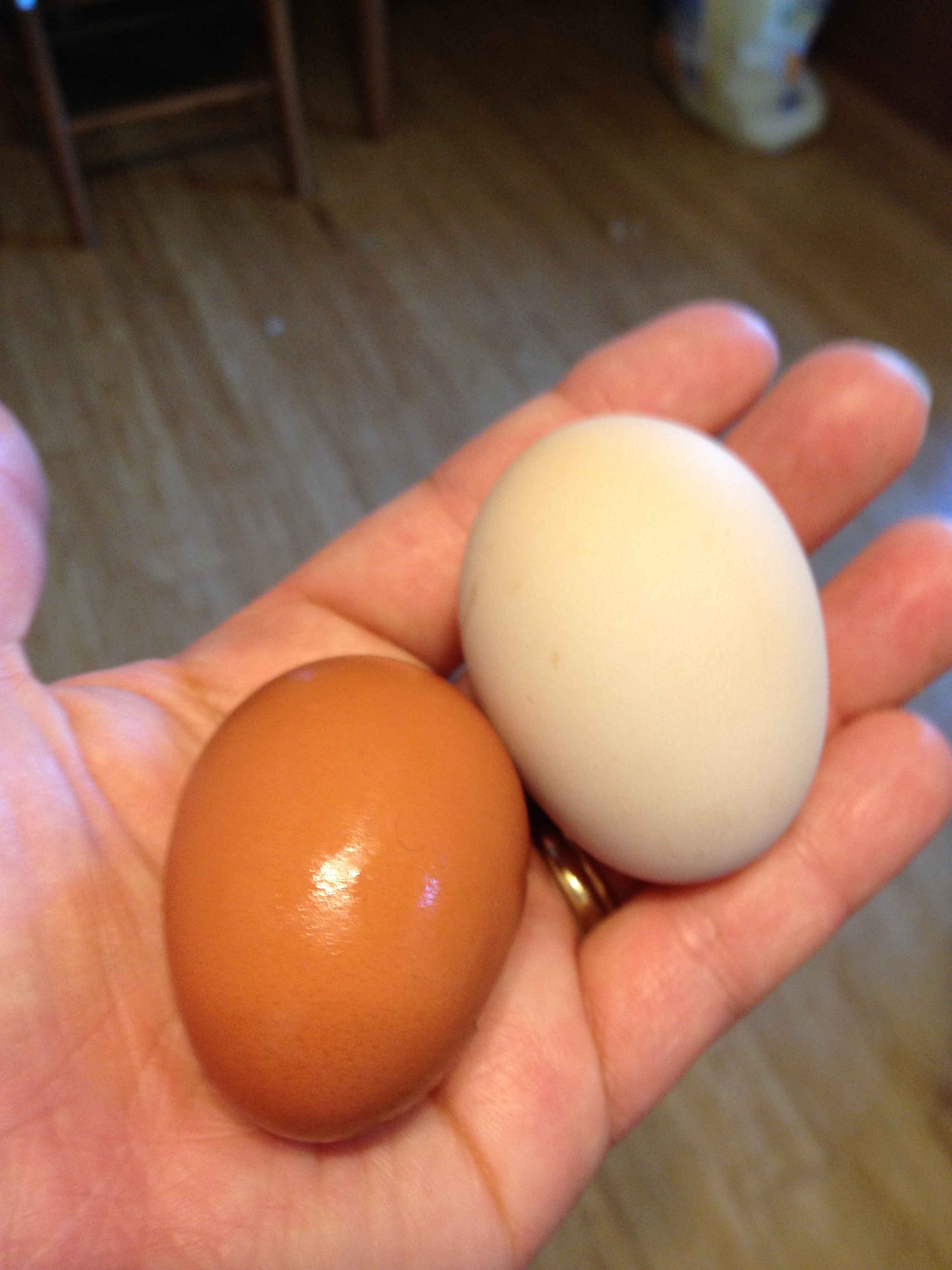 yay eggs!