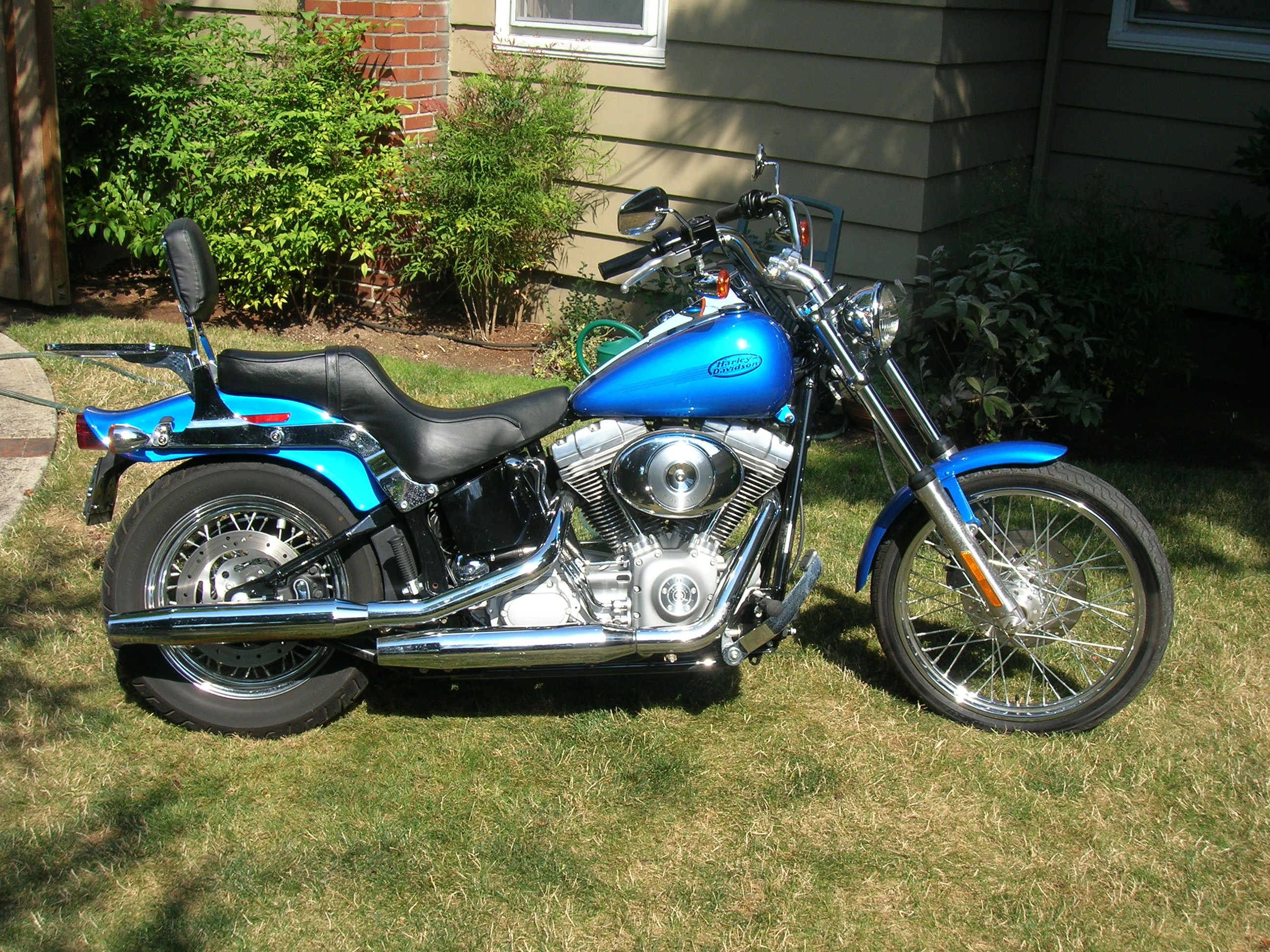Yeah... has nothing to do with chickens, but I love my bike.  04 HD FXST
