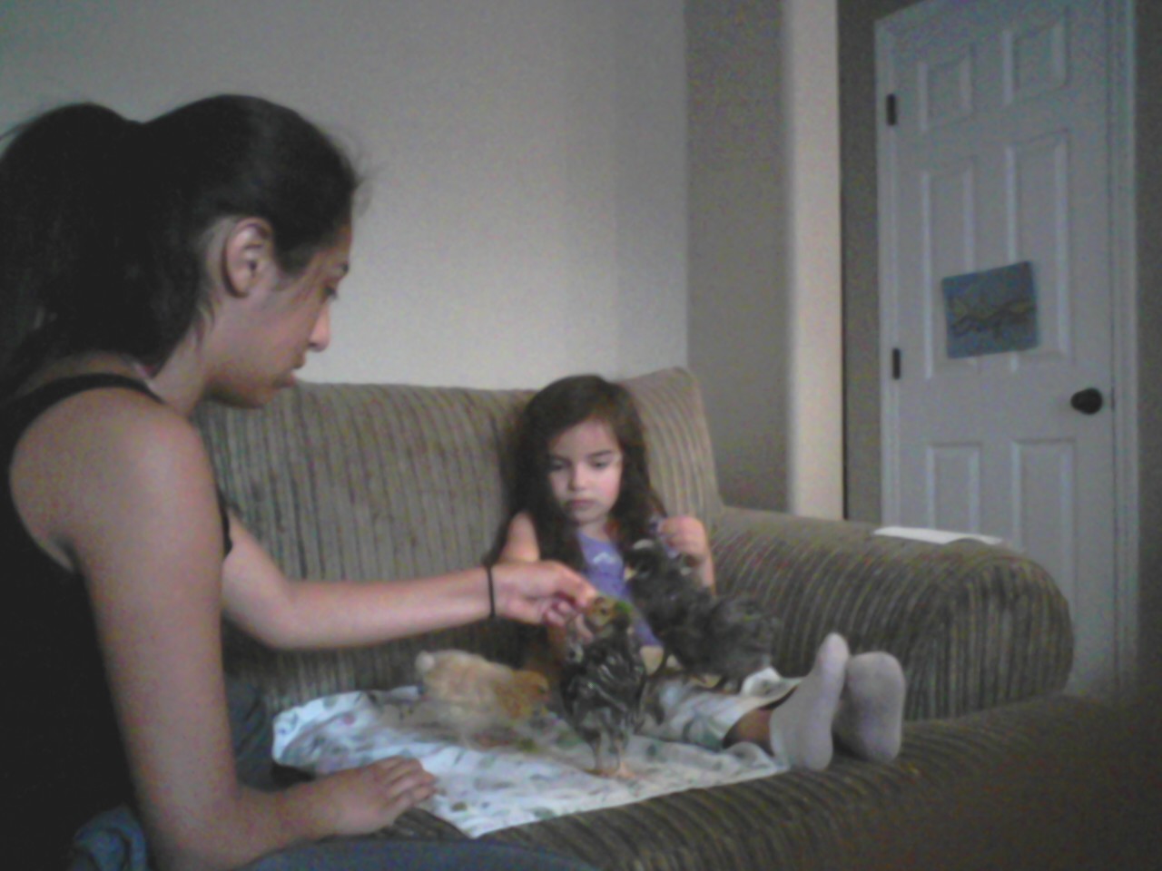 Yeah, we had all seven out with rags.  I'm holding the camera with a roll of toilet paper in the other hand.  :)