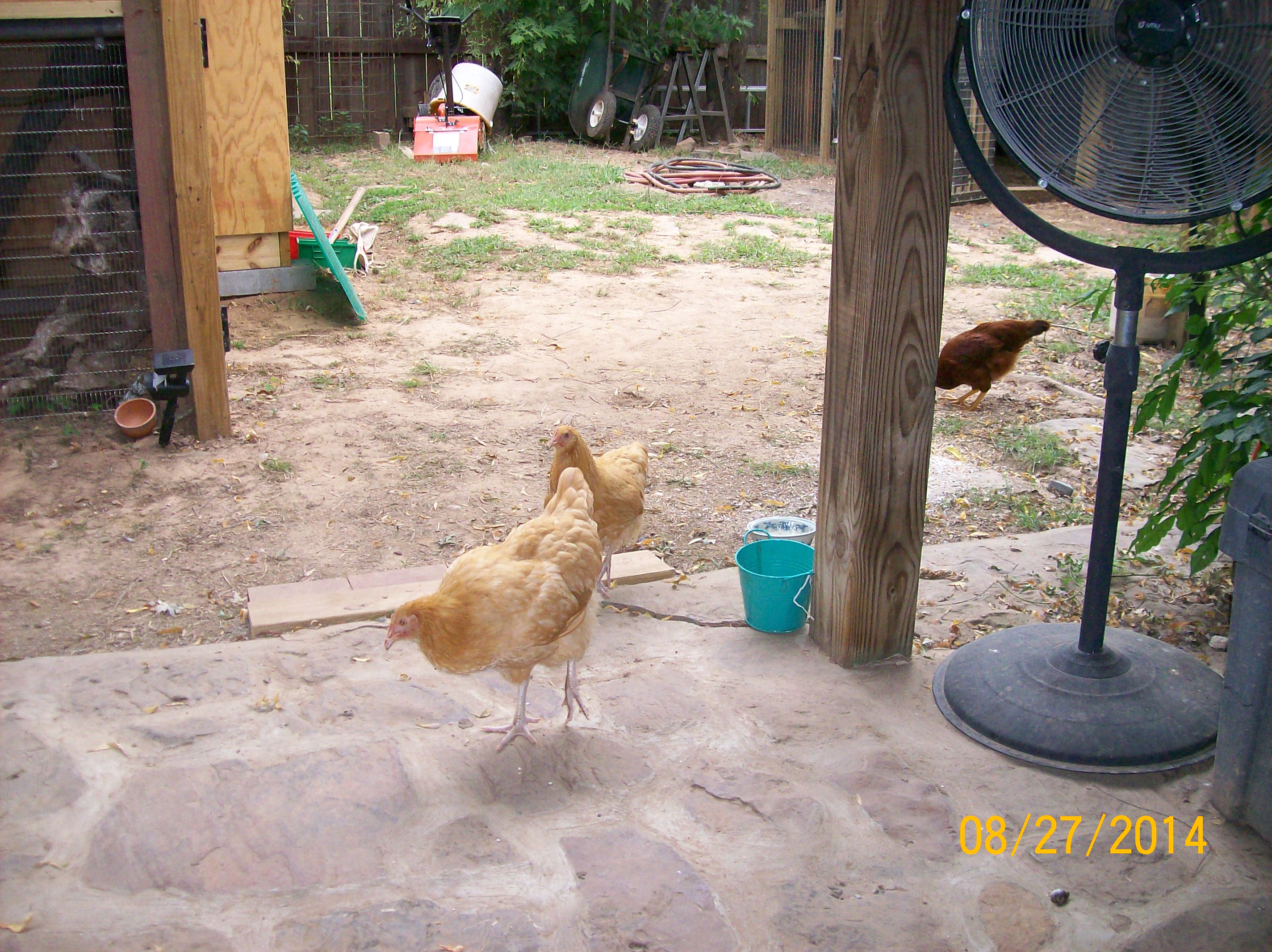 yep,headed for the brush