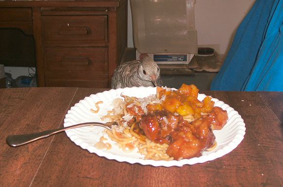 yep tasty
