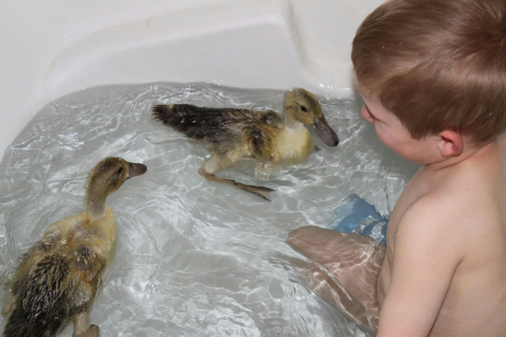 Yes, I bleached the tub and re-washed the kid! :)