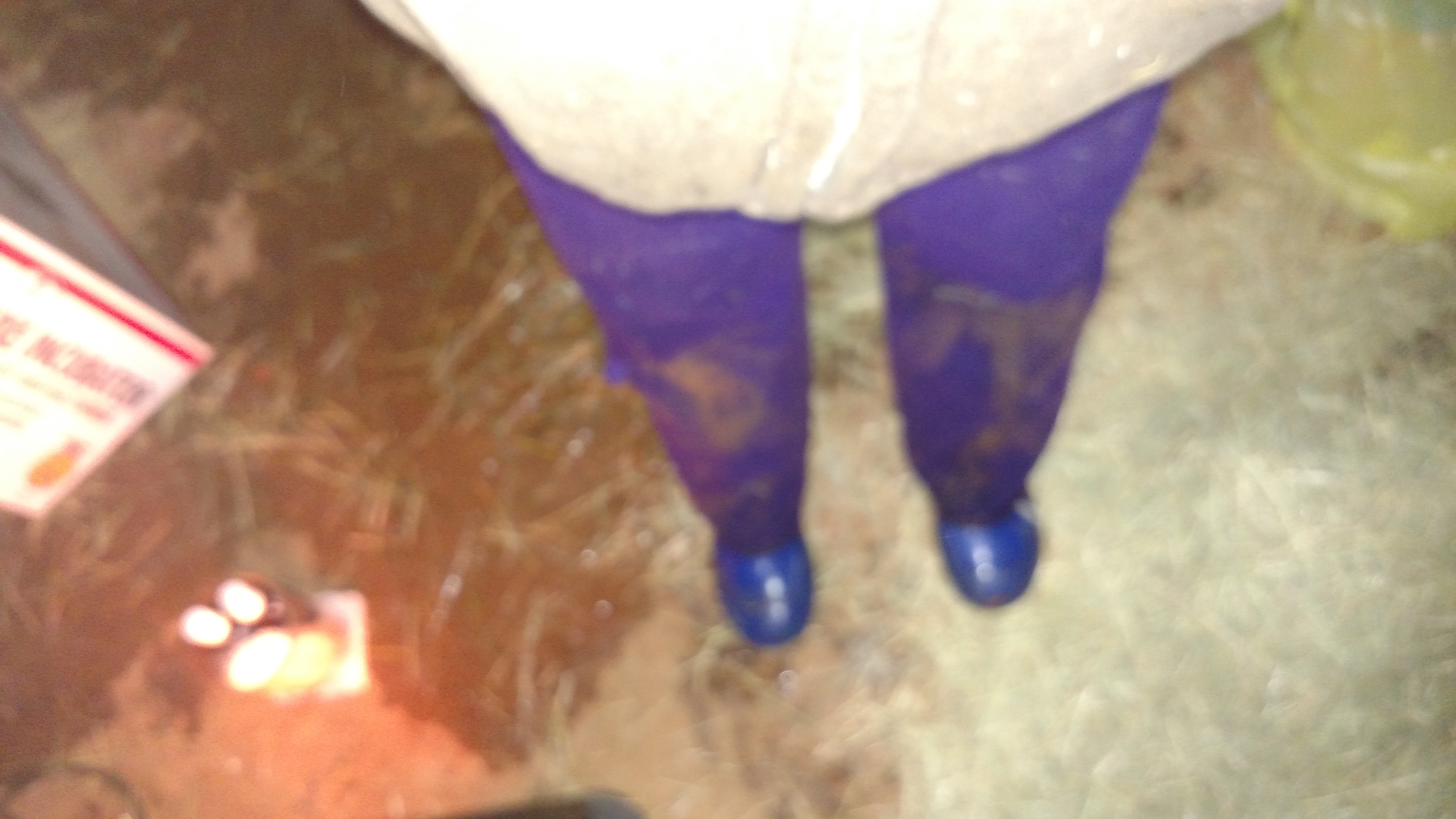 Yes, it is cold and raining here today in East Texas.  Temps dropping and winds coming in later.  Trying to get all chores done b4 winds get here.  The chickens think I'm sexy.     :))