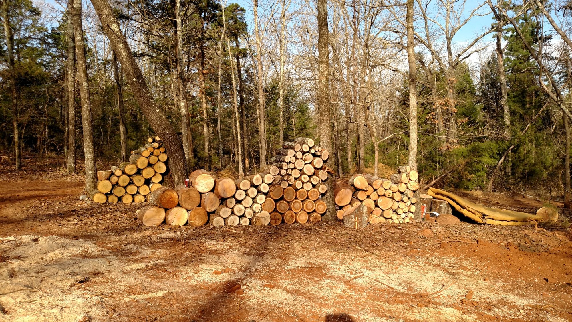 Yes, plenty of chainsawing, separating and stacking wood.