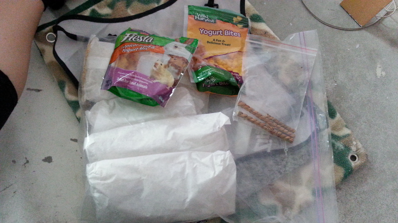 Yogurt and fruit treats, twizzler sticks and bran cereal. Dried rice cereal is given as a treat to harden poop during illness. Can be used on any herbivore in small amounts safely but with chickens too. 

$2