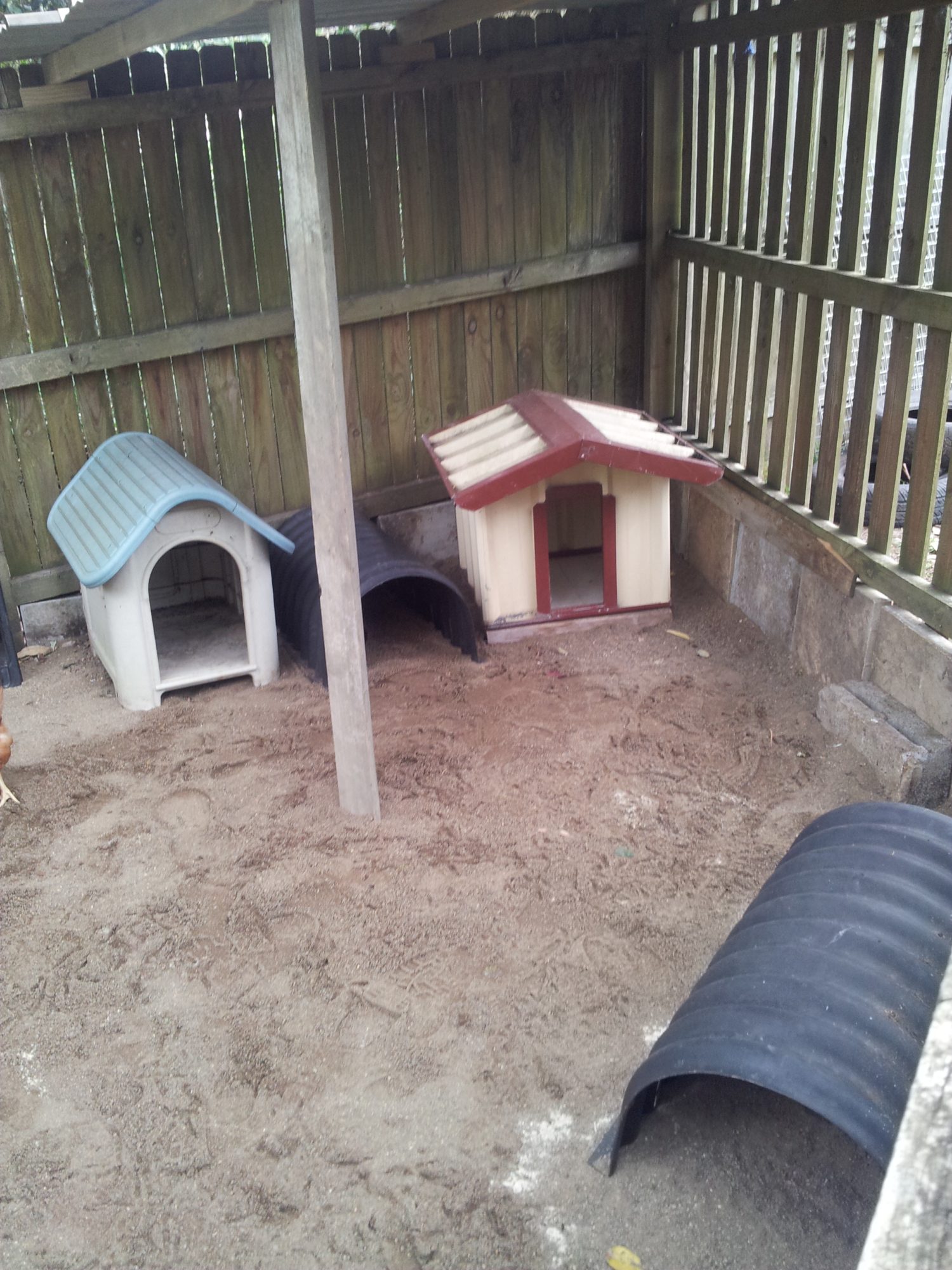 You can now see the basic form of the coop and the various shelters in there. I am working on it by trial and error. Hopefully not too much error. You can't see it too well but the solid section of the roof is now up giving some proper protection from rain and sun. The rest of the roof area will be a mesh roof so the girls can expose themselves to sun and rain if they want to.